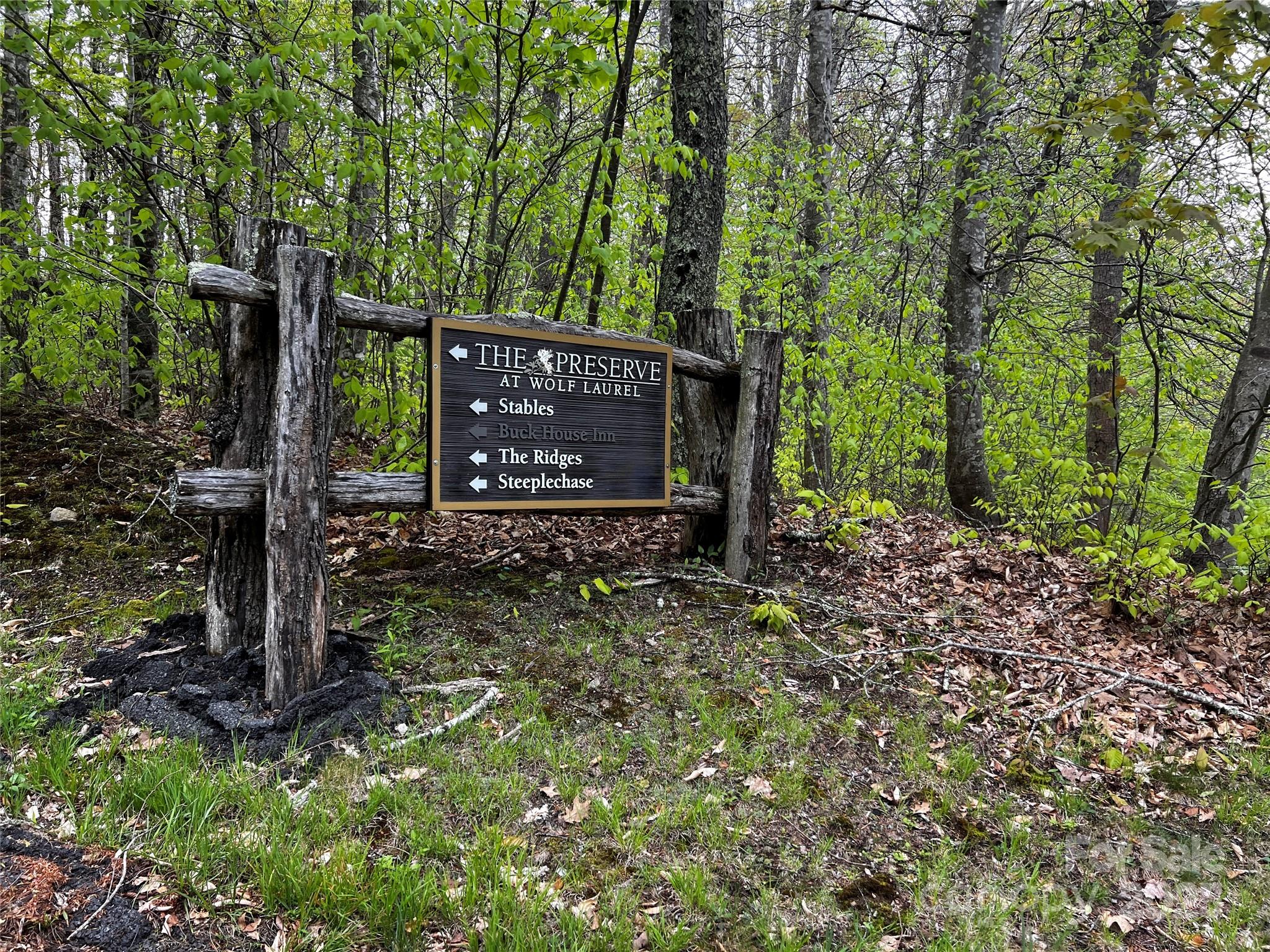 The Preserve at Wolf Laurel - Land