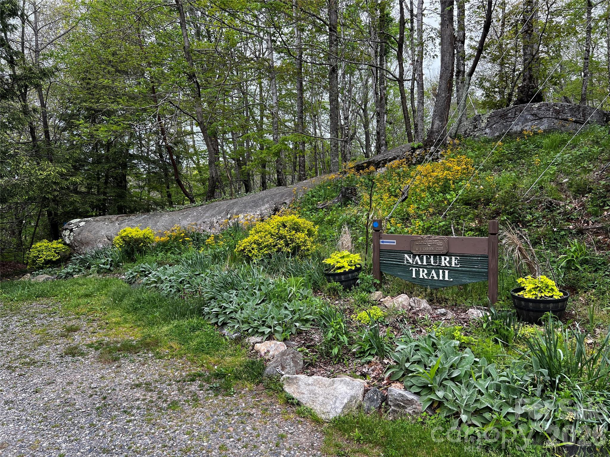 The Preserve at Wolf Laurel - Land
