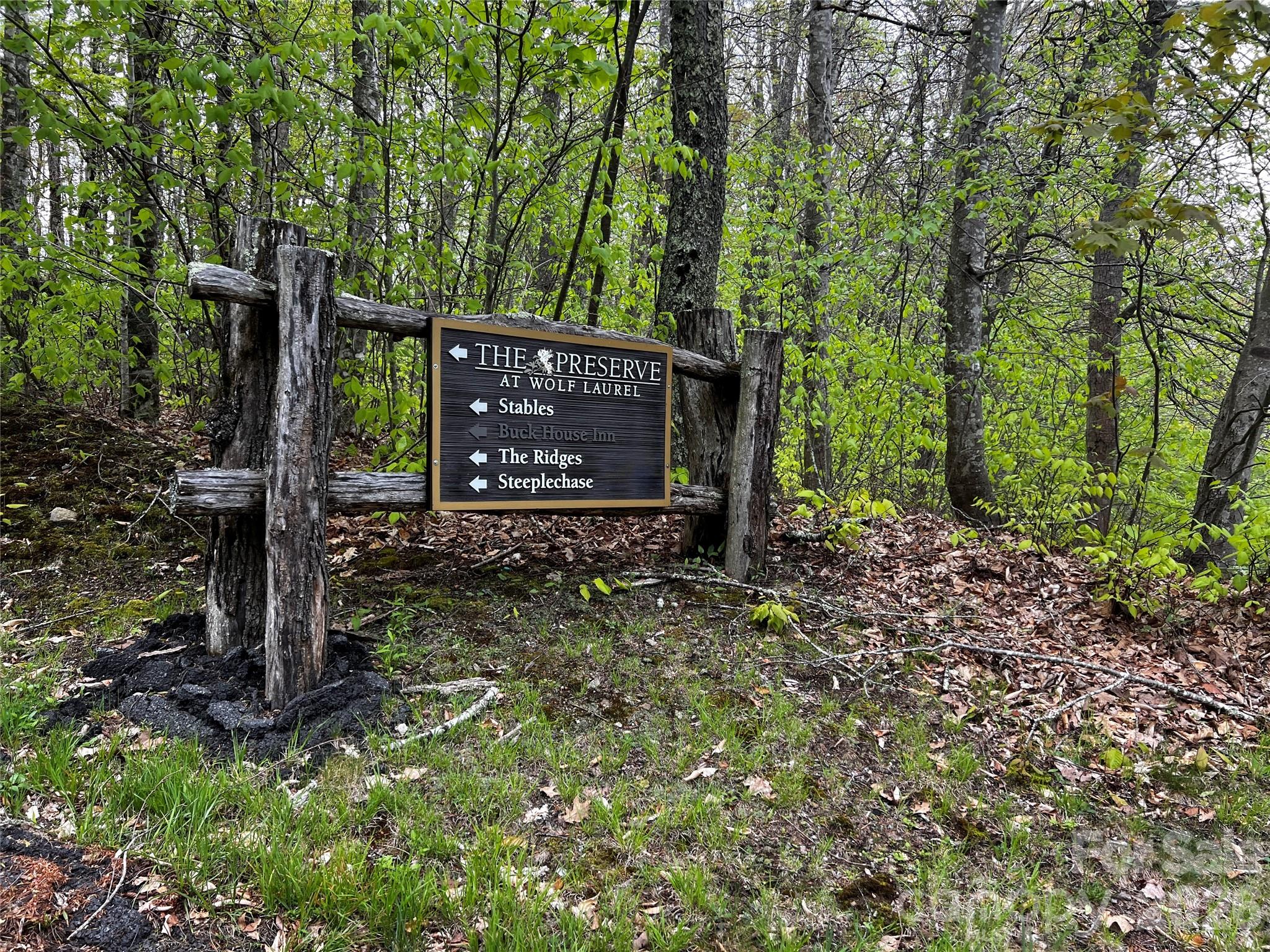The Preserve at Wolf Laurel - Land