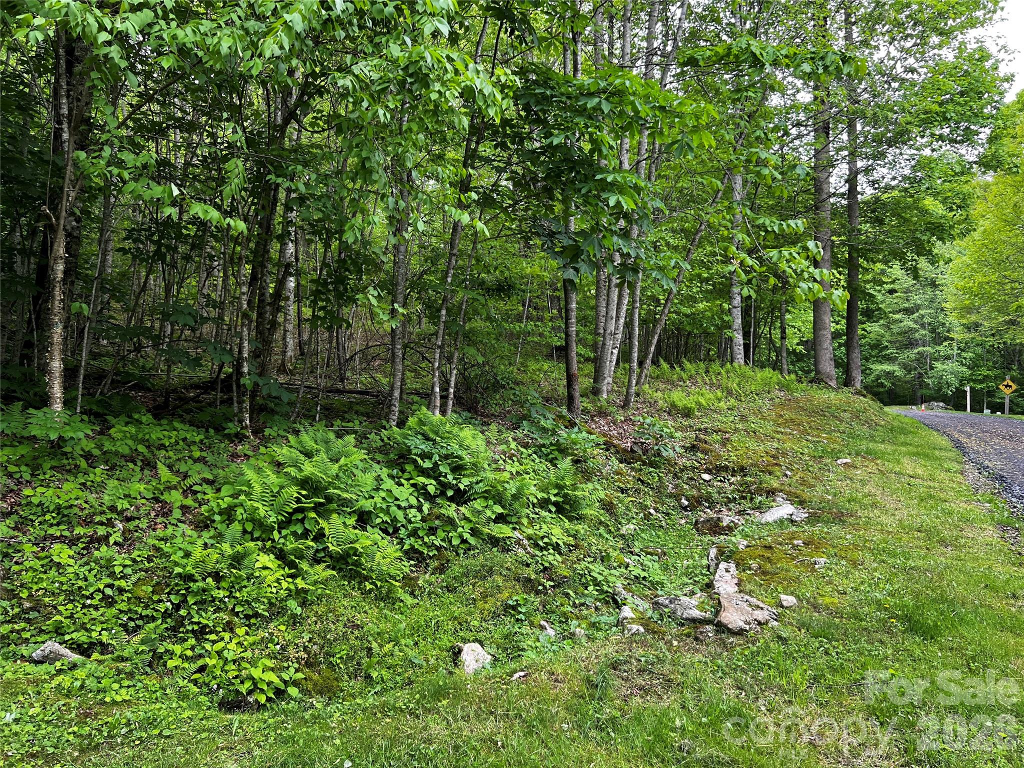 The Preserve at Wolf Laurel - Land