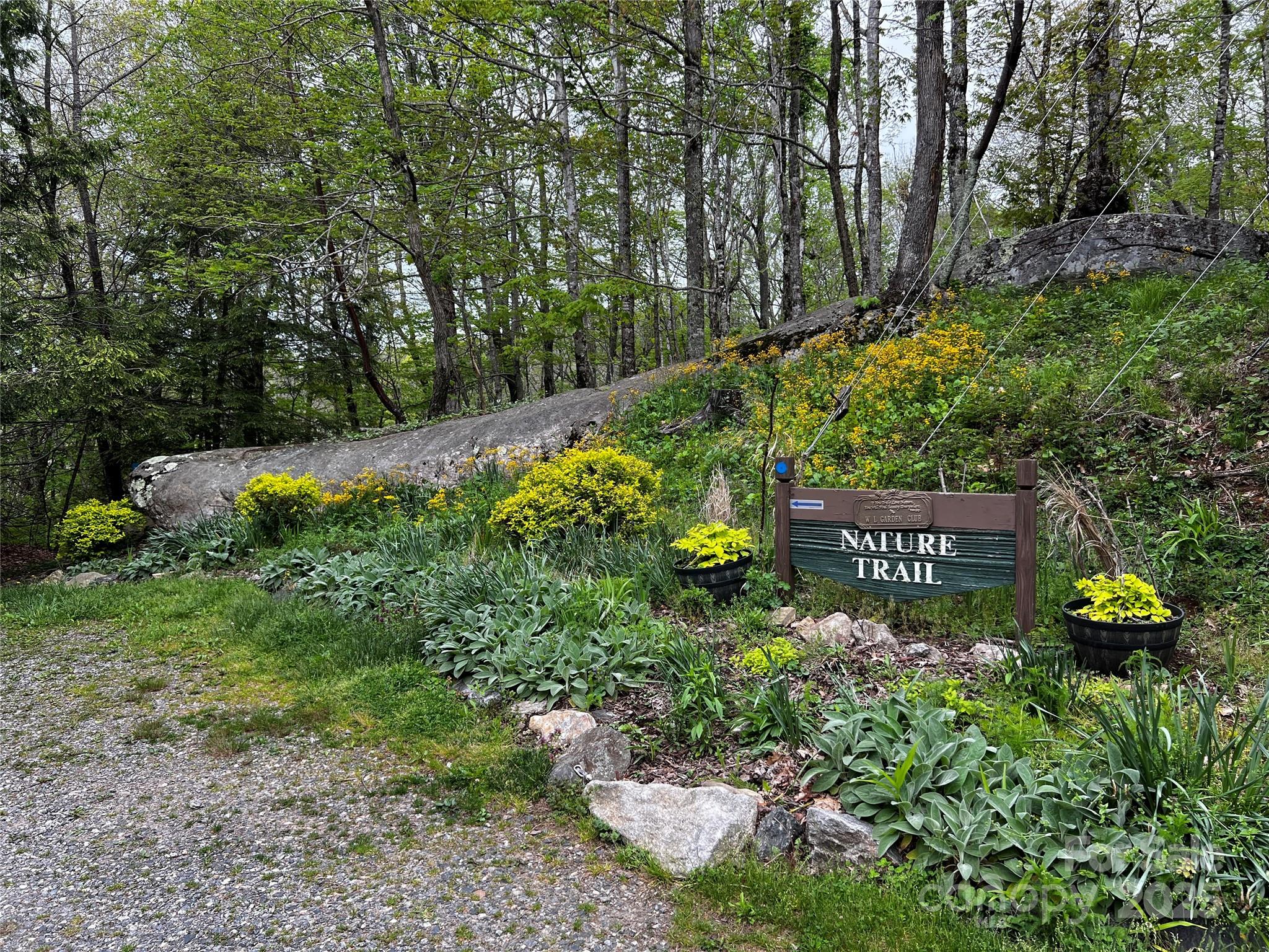 The Preserve at Wolf Laurel - Land