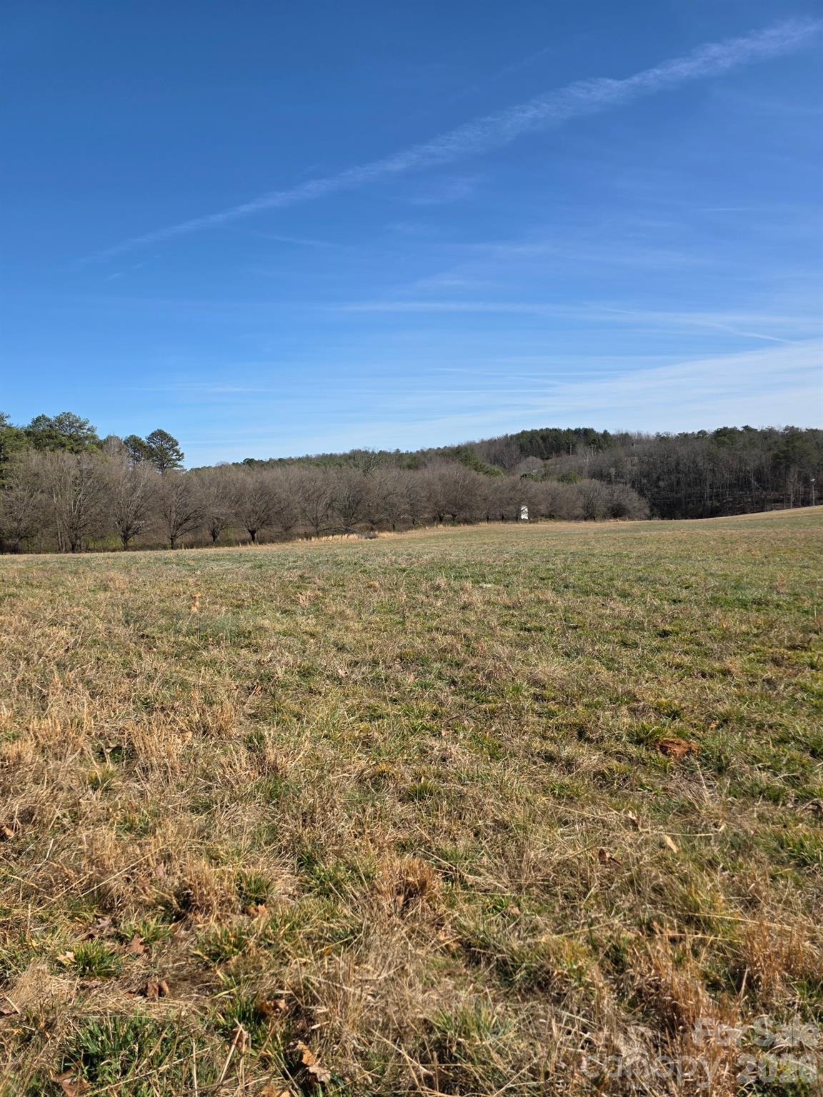 4899 Teague Town Road