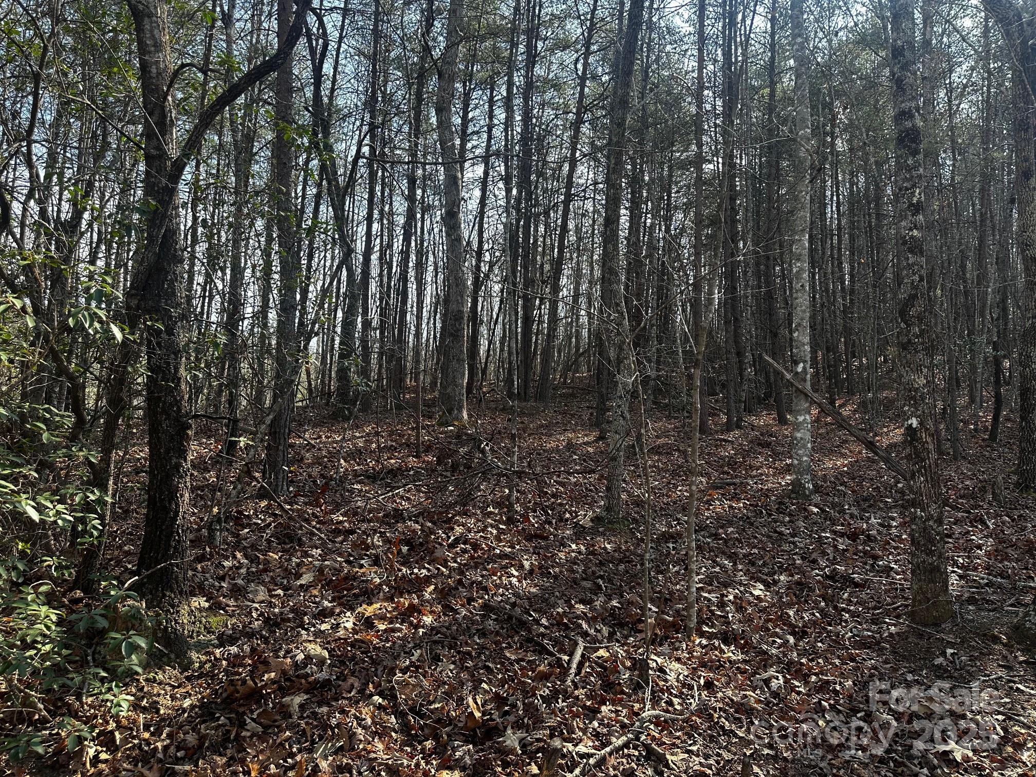 0000 Grassy Knob Road