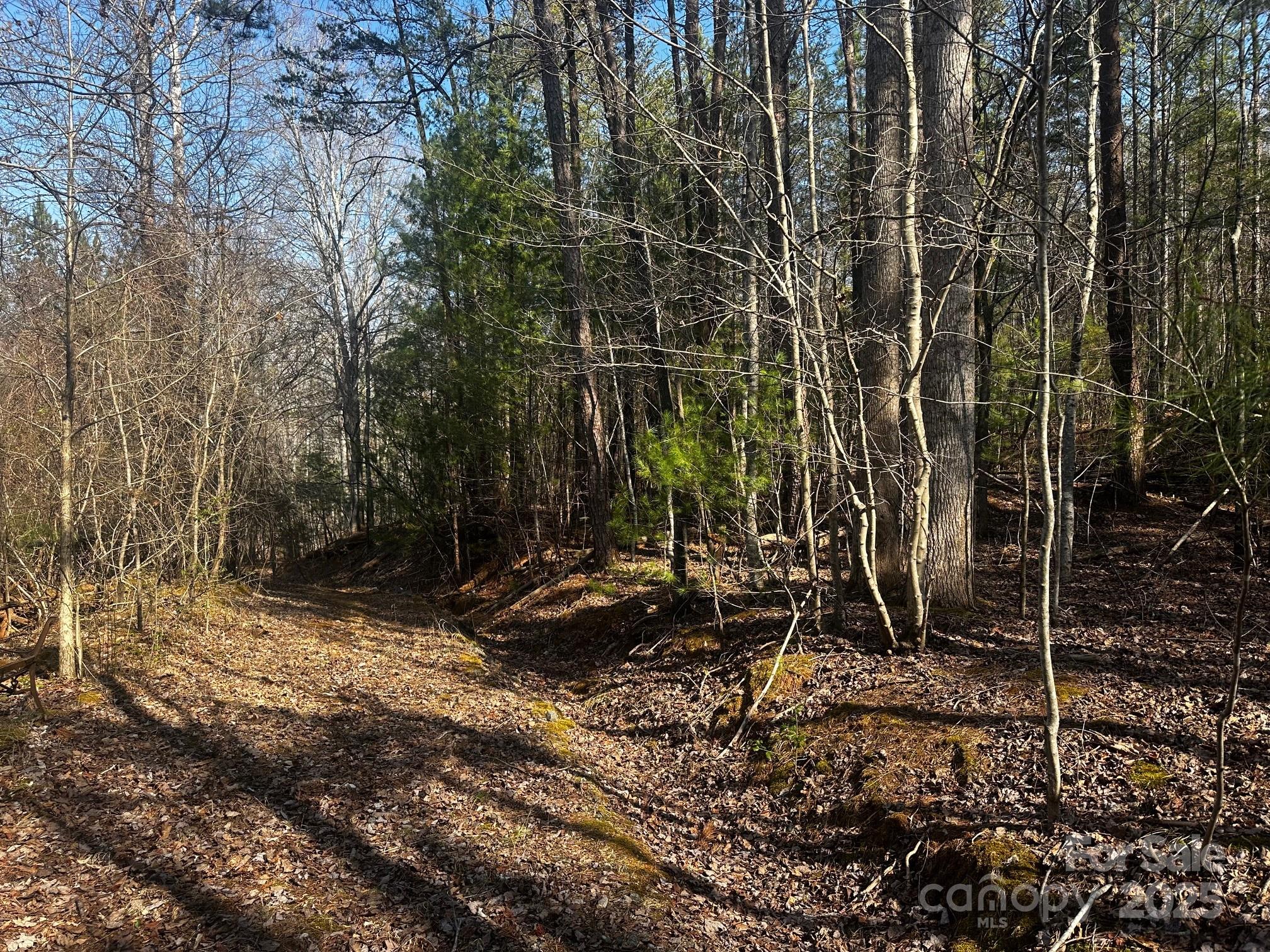 0000 Grassy Knob Road