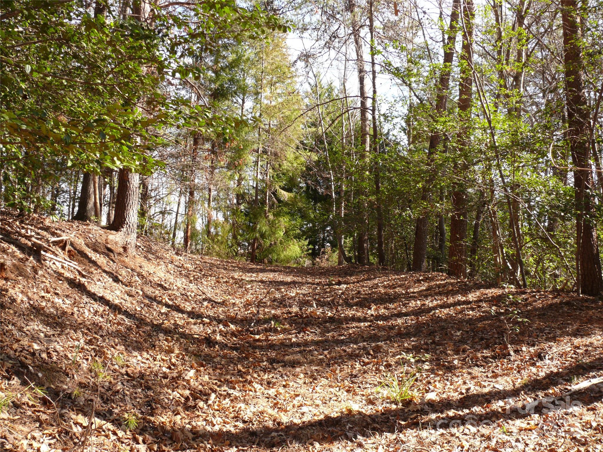 Lot 15 Shumont Estates Drive