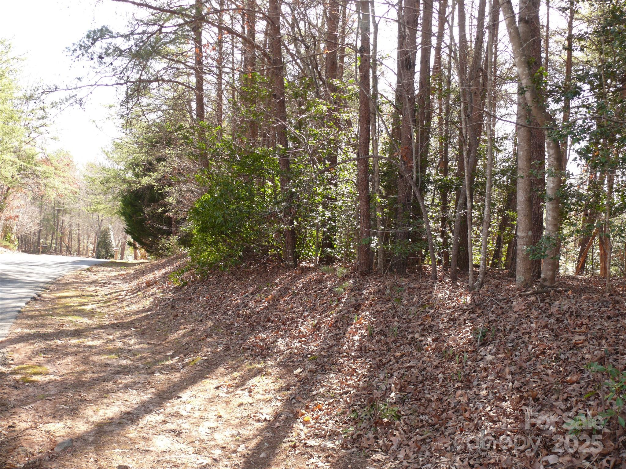 Lot 15 Shumont Estates Drive