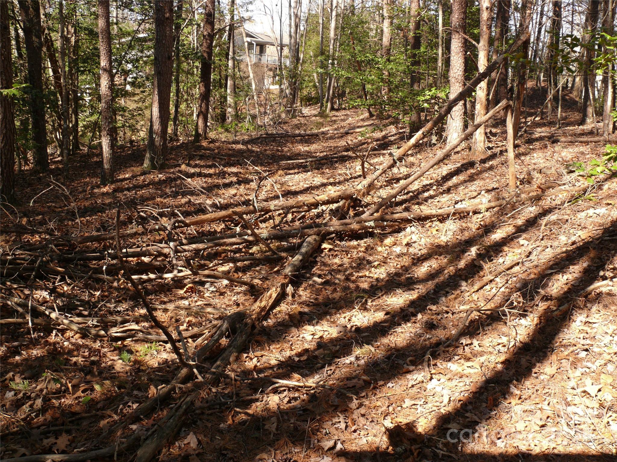 Lot 15 Shumont Estates Drive