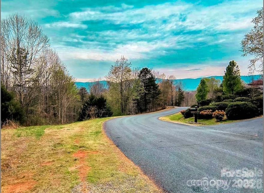 Discover serenity, space, and scenic beauty on this 9.43-acre homesite in the heart of WNC’s Blue Ridge Mountain foothills. Located in the desirable Lake Adger/Highland Farms community, this property is ideal for a private estate or equestrian retreat. Enjoy breathtaking long-range mountain views, a horse trail at the back of the property, and full access to the Lake Adger boat launch. Whether you're building your forever home or a weekend getaway, this land offers space, peace, and natural beauty. Horse-friendly with direct access to scenic riding trails. Lake Adger features a 438-acre private lake with 14 miles of shoreline—perfect for kayaking, boating, or fishing. Septic permit approved (valid for 5 years) and well permit already in place. A survey done in  Feb 2023 gives you a head start on development. Tucked in a quiet gated community, yet only 30 minutes to Chimney Rock and 20 minutes to Tryon International Equestrian Center. Come experience four-season mountain living in WNC!
