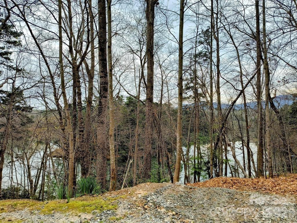 Highland Farms - Land