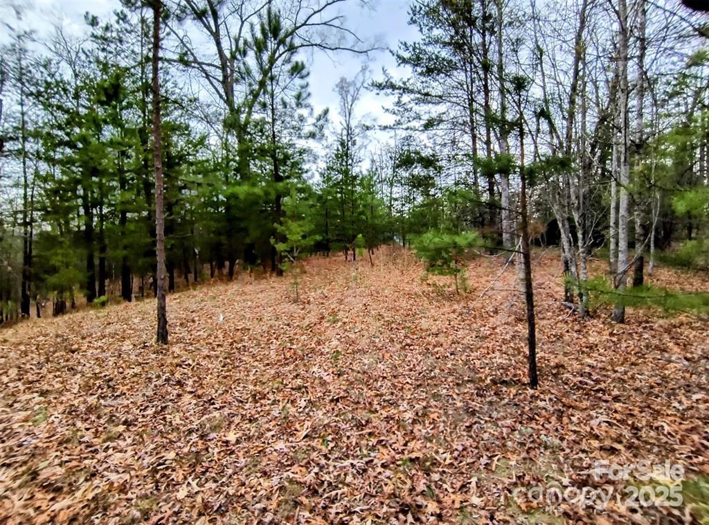 Lot #28 Lake Adger Parkway 28