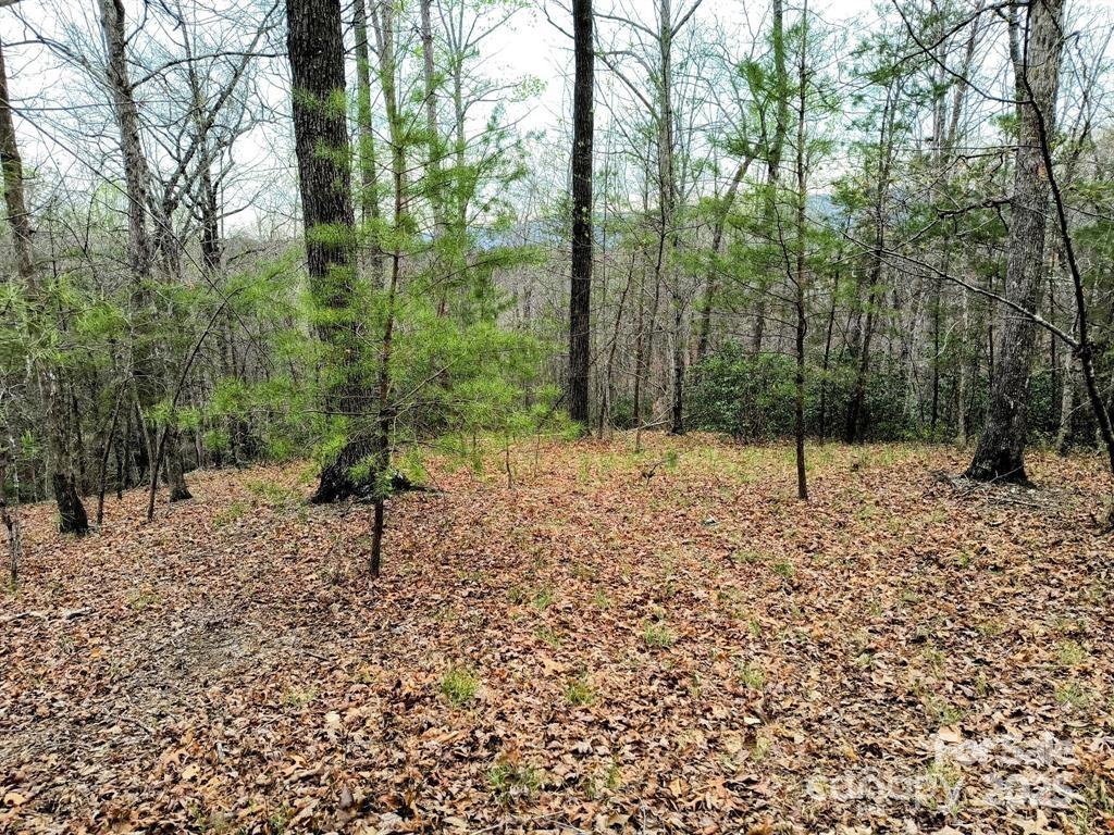 Lot #28 Lake Adger Parkway 28