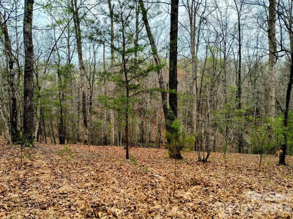 Highland Farms - Land