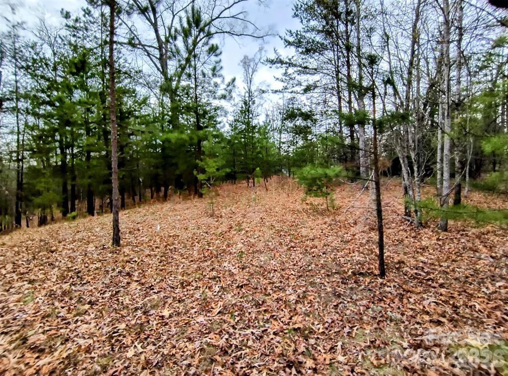 Highland Farms - Land