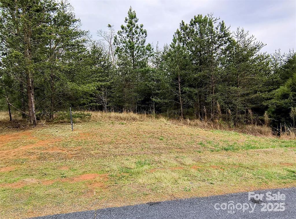 Lot #28 Lake Adger Parkway 28