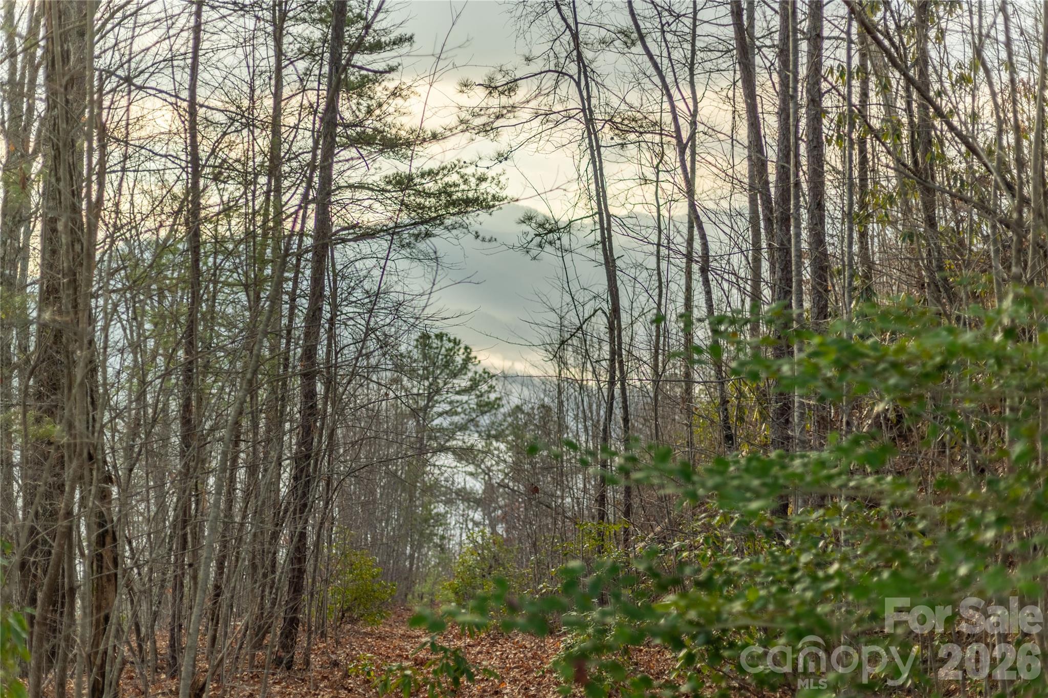Rockledge - Land