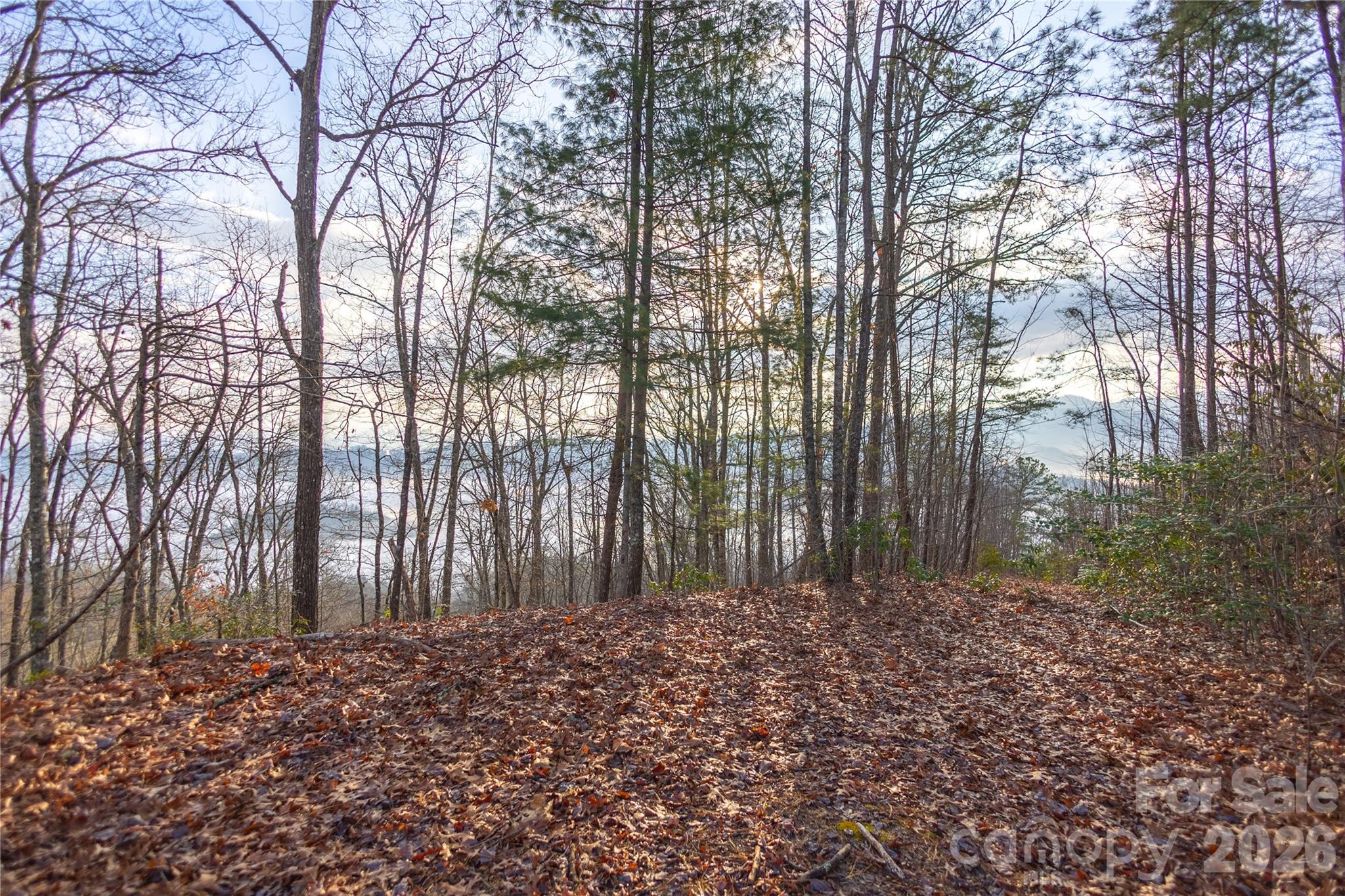 Rockledge - Land