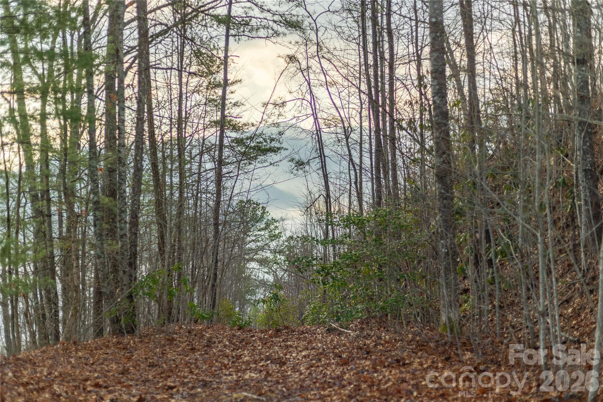 Rockledge - Land