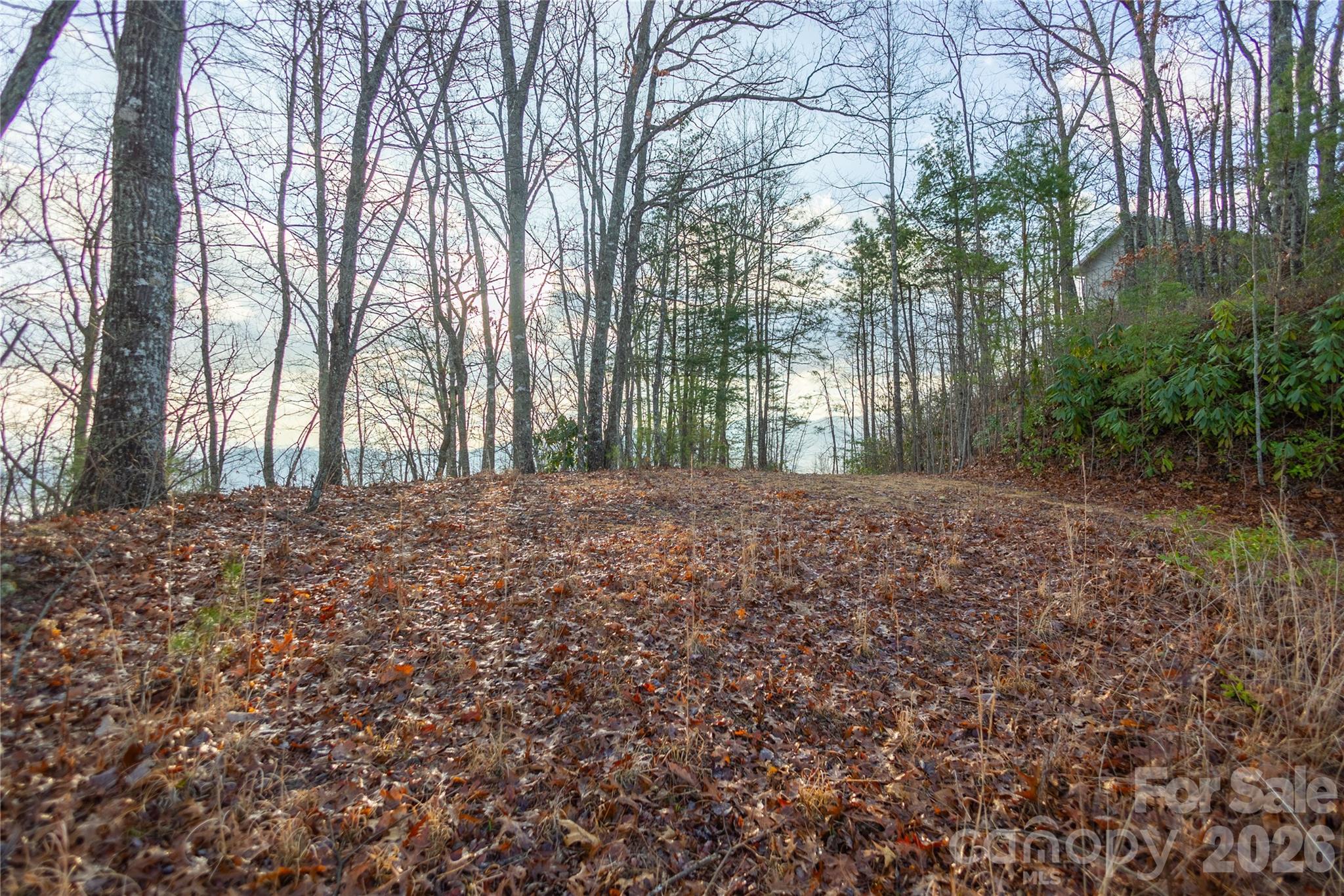 Rockledge - Land