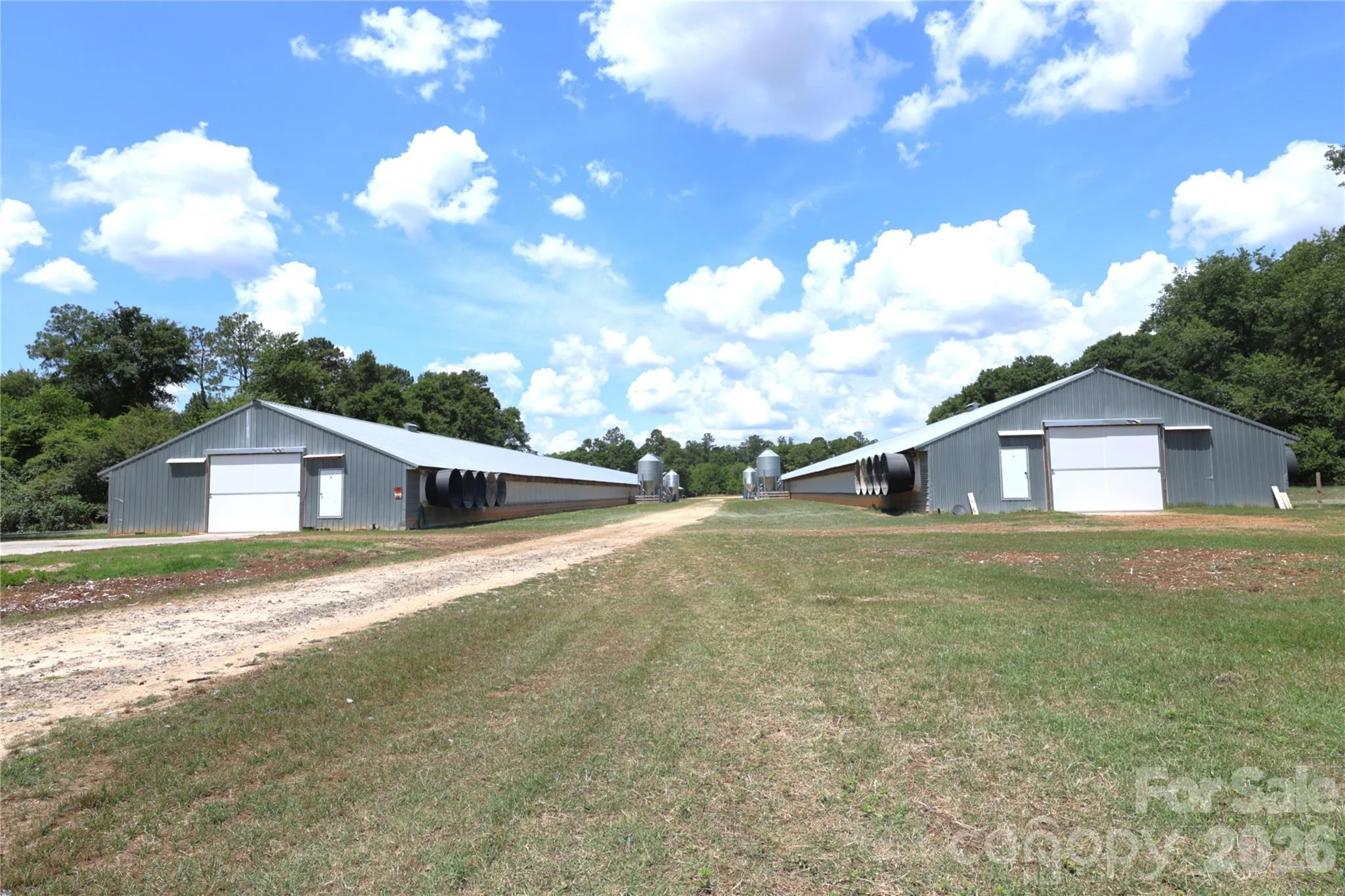 2121 Whitetail Road, Blackville, SC, 29817