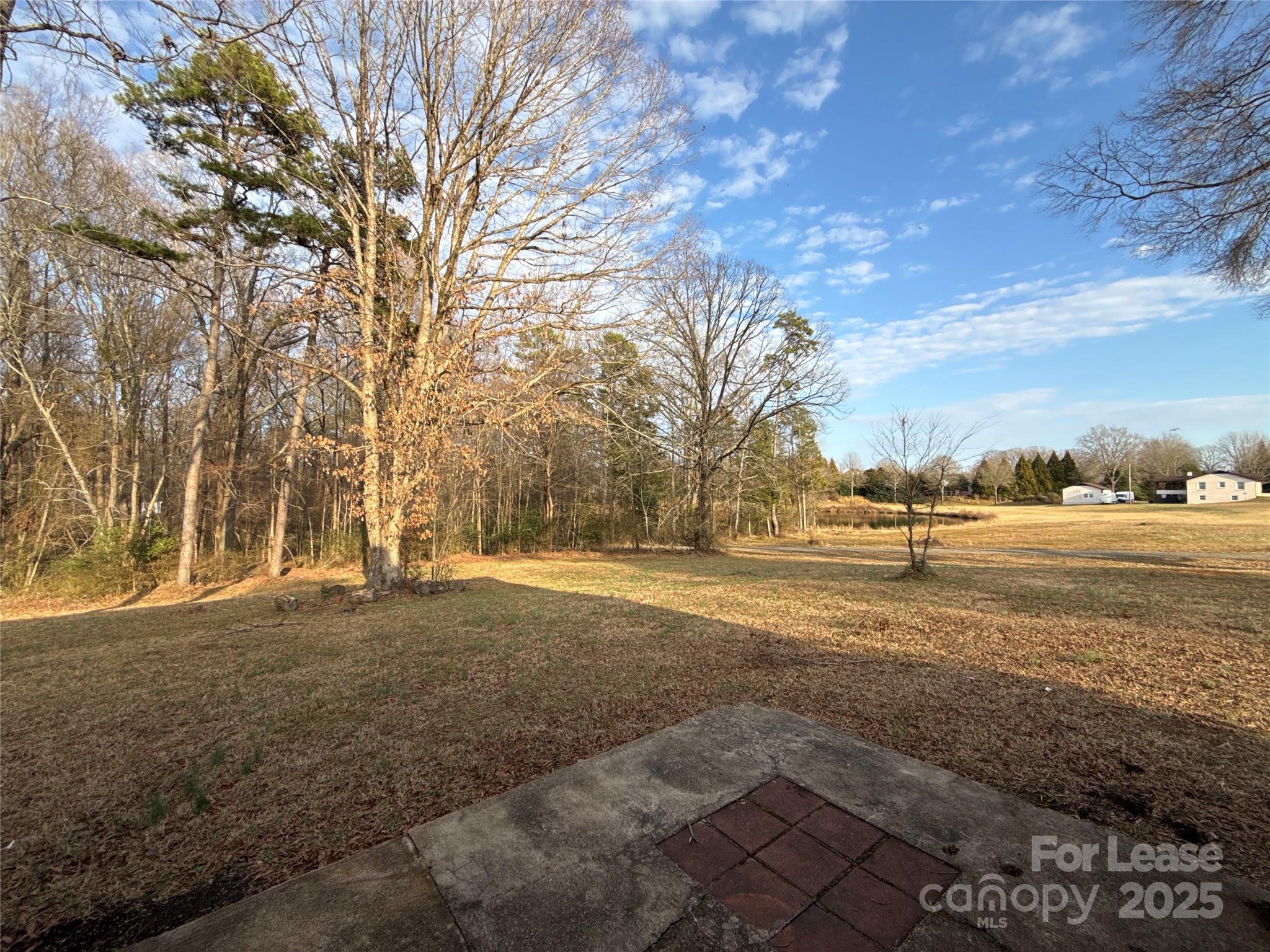 None - Residential Lease