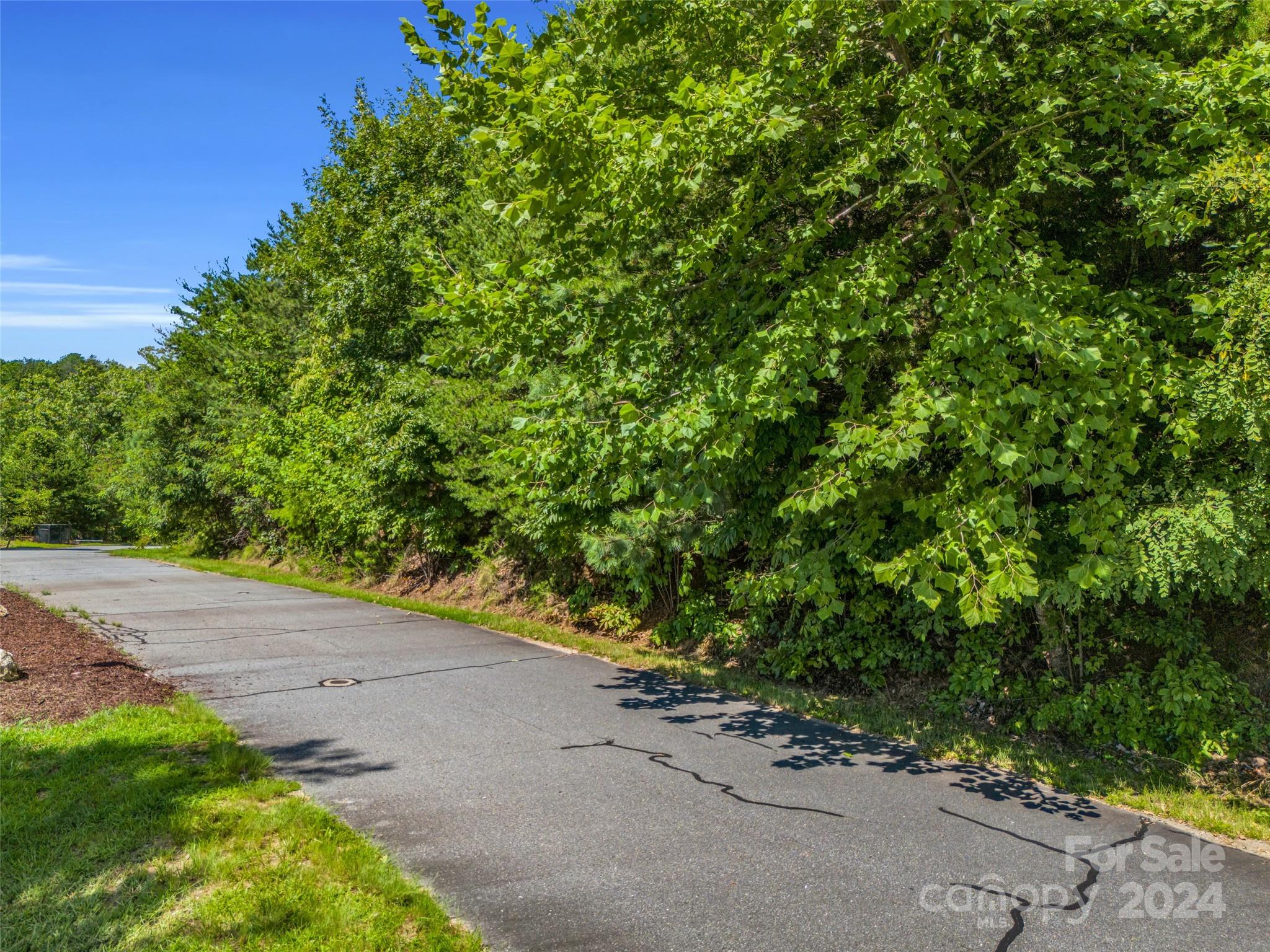 Blue Heron Point - Land