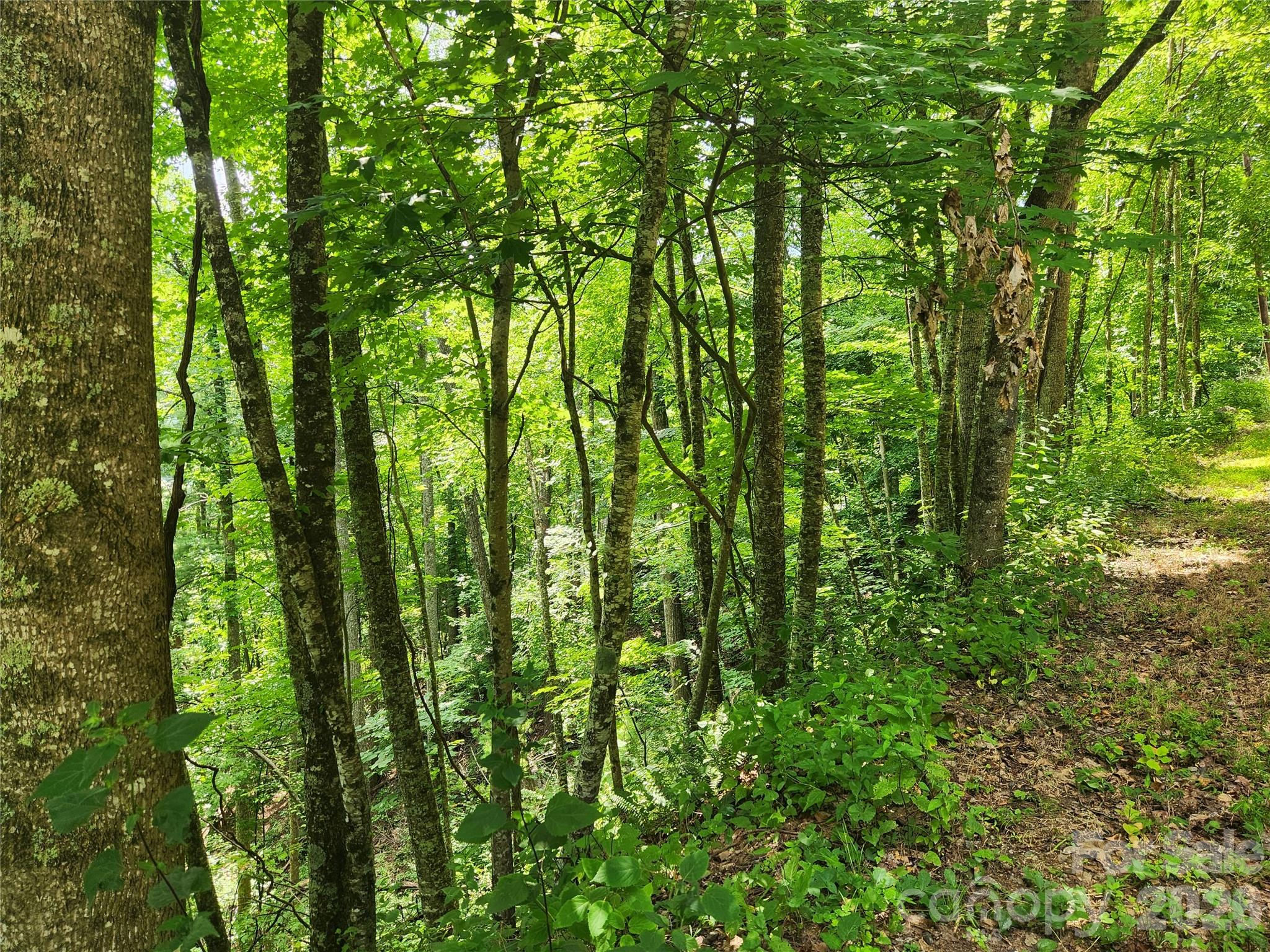 00 Green Ridge Falls Road, Weaverville, NC, 28787