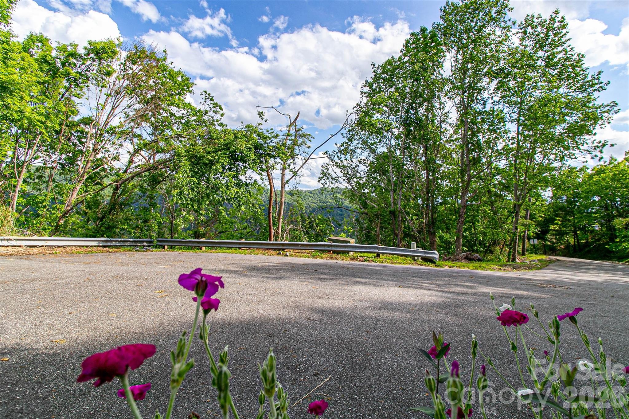 99999 BLACK OAK Drive 13