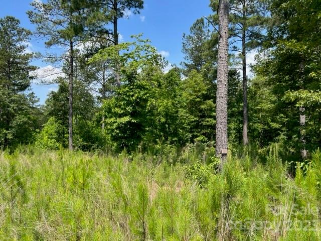 The Waterfront Club - Land