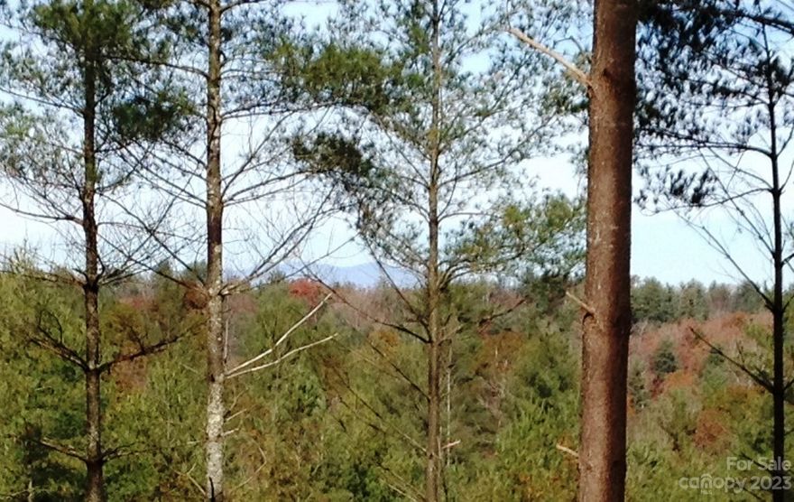 Waterside #52: Mountain View! Perfectly sloping lot for a walkout basement home with your back deck overlooking a huge backyard directly facing the mountain view. You’ll have beautiful sunsets over the trees with loads of privacy on this 1.62 Acre property. Waterside is on Lake Rhodhiss where you’ll have access to the lake, community boat slips, a community lakeside park and a laid-back lifestyle. New homes are constantly under construction in this woodsy and very popular gated community. Lots are large so you’ll have room to breathe. It’s just minutes from historic downtown Valdese where you’ll enjoy a vibrant community. A short drive brings you to either Hickory or Morganton where you won’t want for diverse shopping, dining and everything in between; Festivals, Farmers Markets. Asheville, Blowing Rock, and Charlotte are a little more than an hour away. Put visiting this property on your summer “to do” list and make this beautiful homesite in Waterside yours.