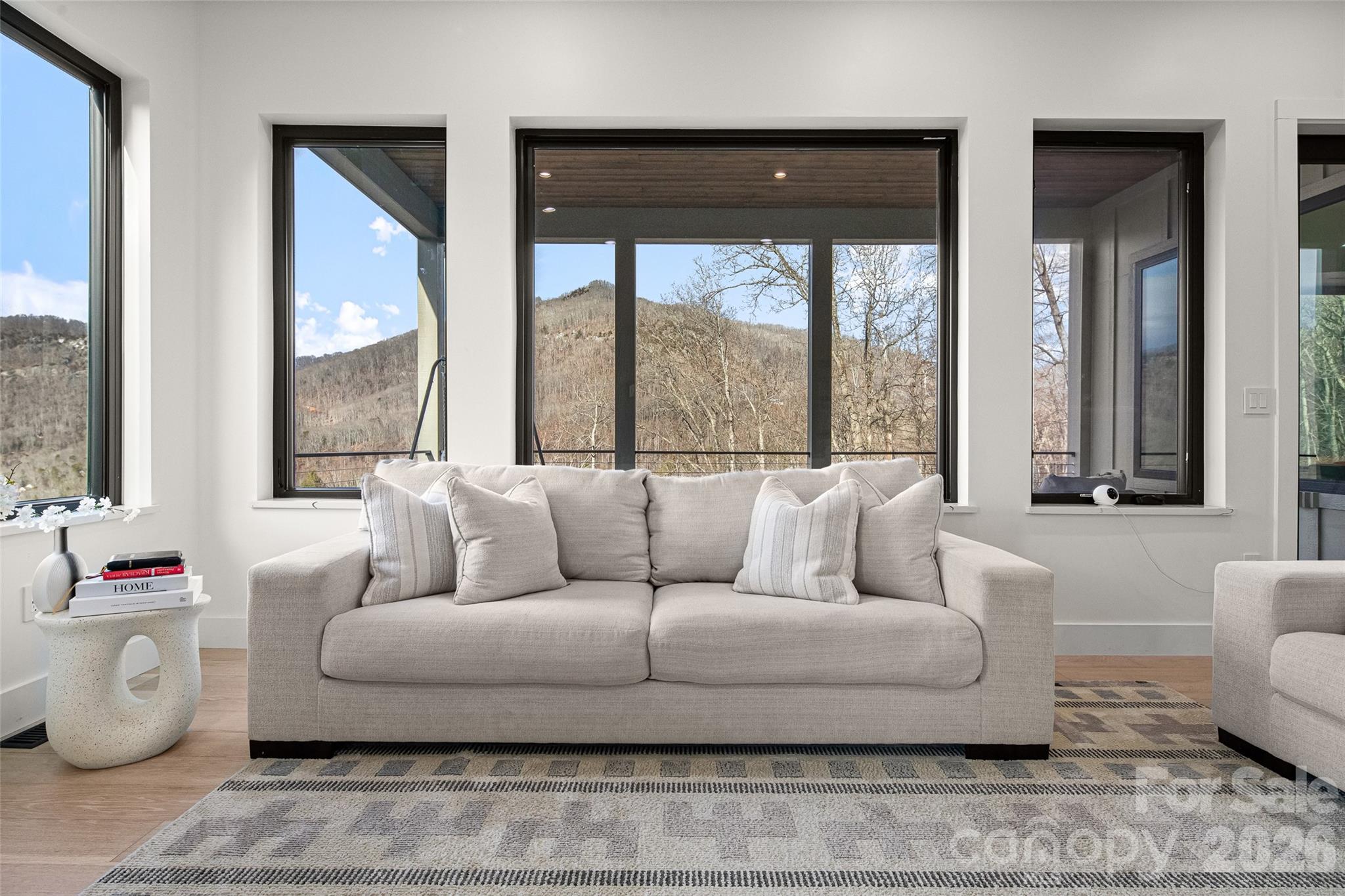 Chestnut Mountain - Residential