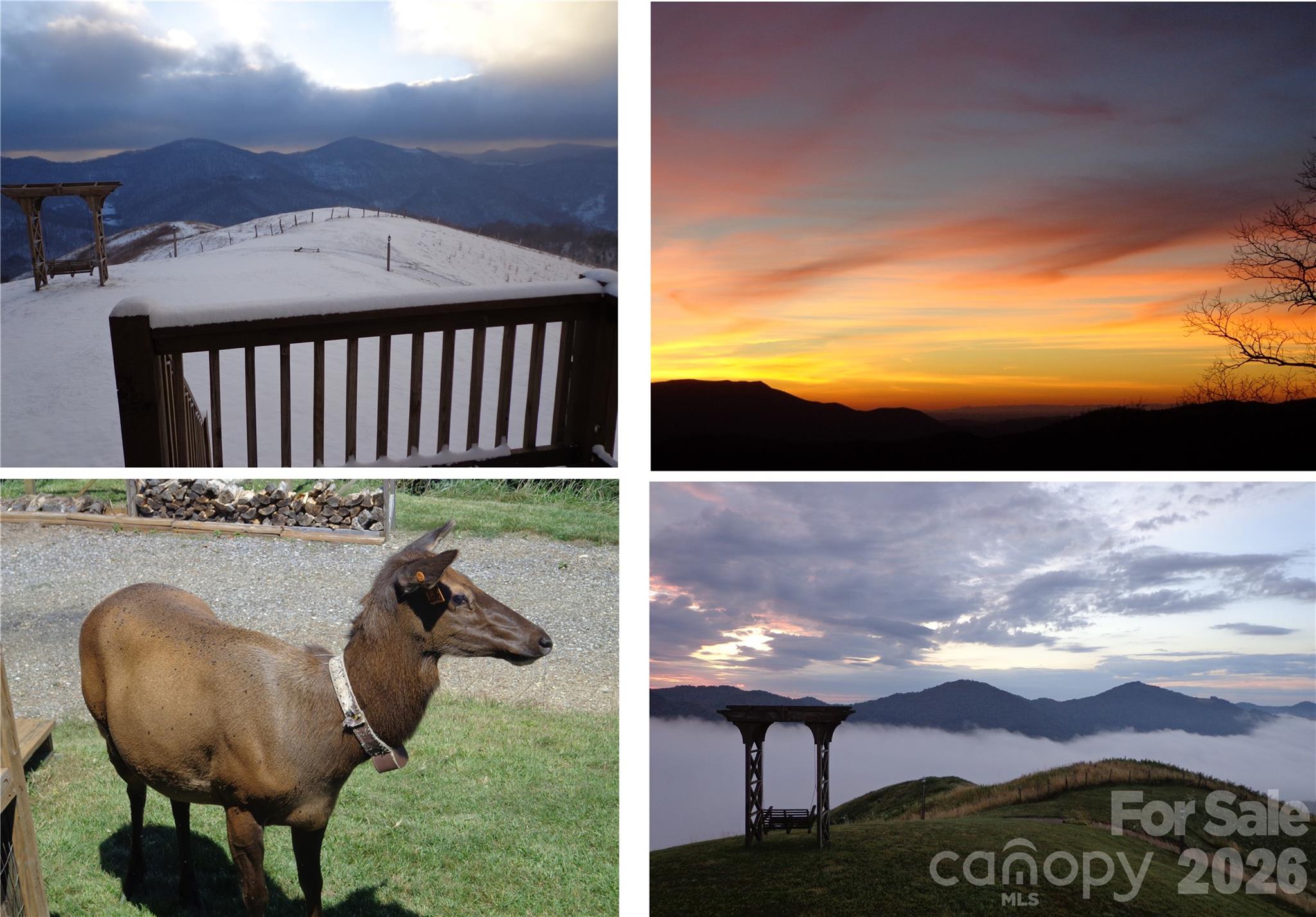 1007 Turkey Trot Road