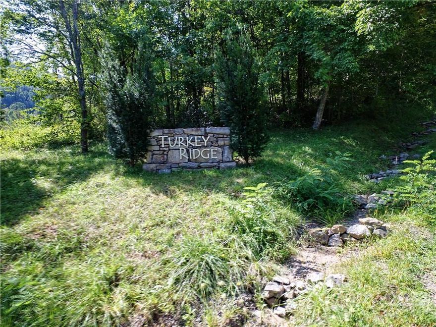 Great residential contractor/development opportunity. Turkey Ridge Development with 12 lots already platted with 8 pads. Underground utilities. Road partially completed which needs to be paved. Several lots have great mountain views and all are beautifully wooded. Development is off of Ratcliff Cove Road, and only a few minutes drive to downtown Waynesville.