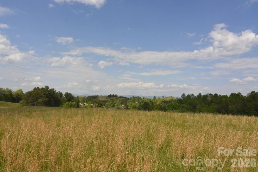Absolutely stunning 35± acre property offering everything you’ve been searching for. This exceptional tract features rolling, usable land with breathtaking long-range mountain views, a small stream winding through the property, and a peaceful pond.  Multiple ideal building sites provide the perfect setting to create your dream estate, whether you’re seeking complete privacy or sweeping views. Existing home with barns and outbuildings offer excellent potential for a working homestead, hobby farm, or equestrian use, while the current home allows for immediate enjoyment or future customization.  With Open Use County zoning and a prime location just minutes from Asheville and Weaverville, this property offers unmatched flexibility and convenience. The possibilities here are truly endless.