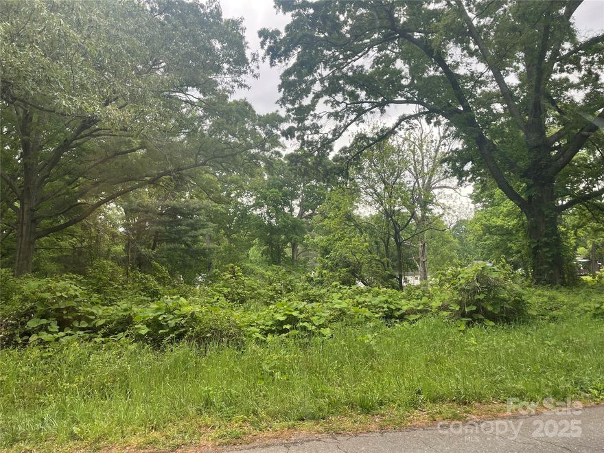 Great opportunity to own two lots.  Selling both lots together.  Well and septic required.  Easy access to I-77, downtown Rock Hill and York.