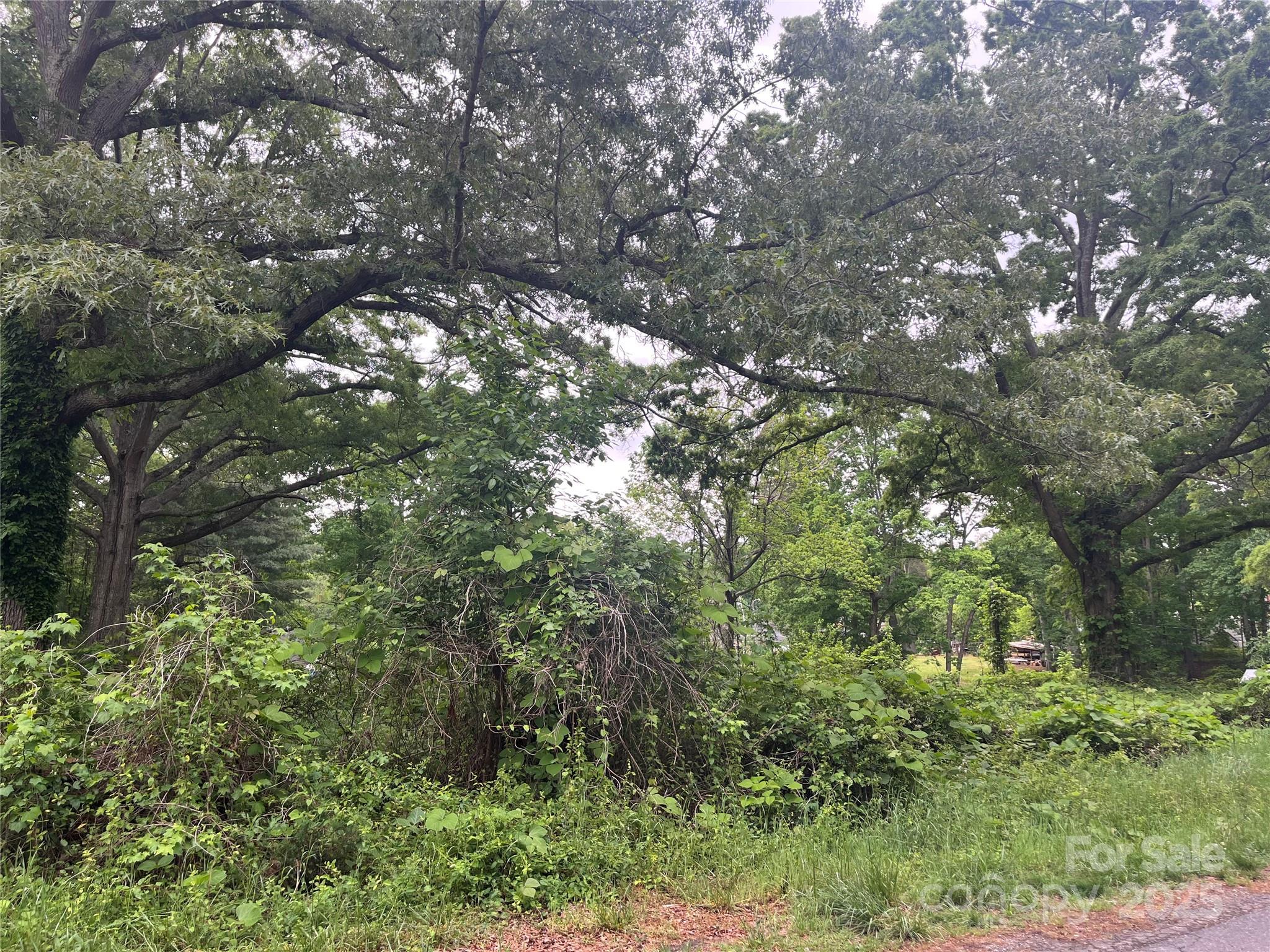 Trexler Acres - Land