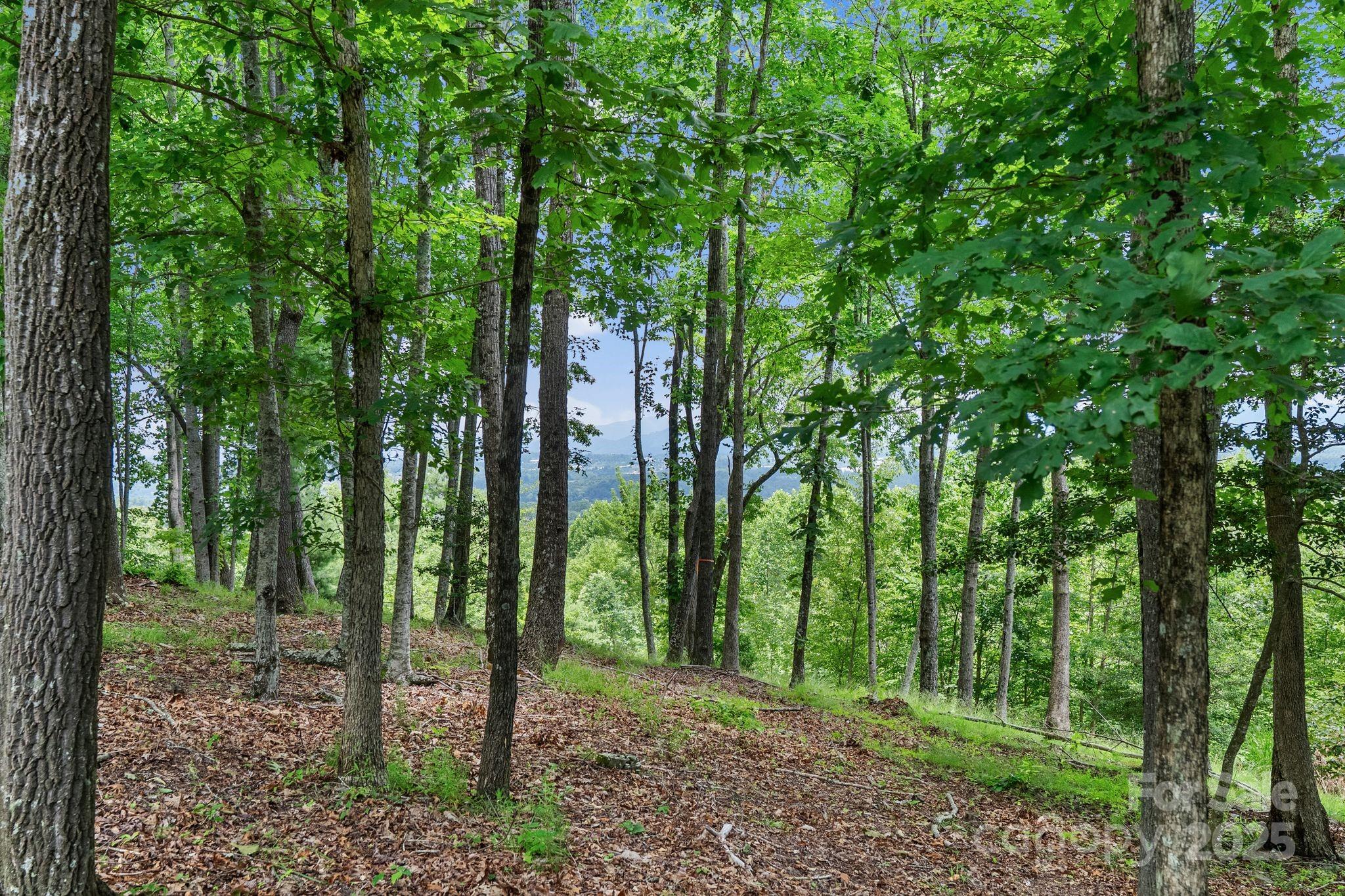 120 Split Rock Trail