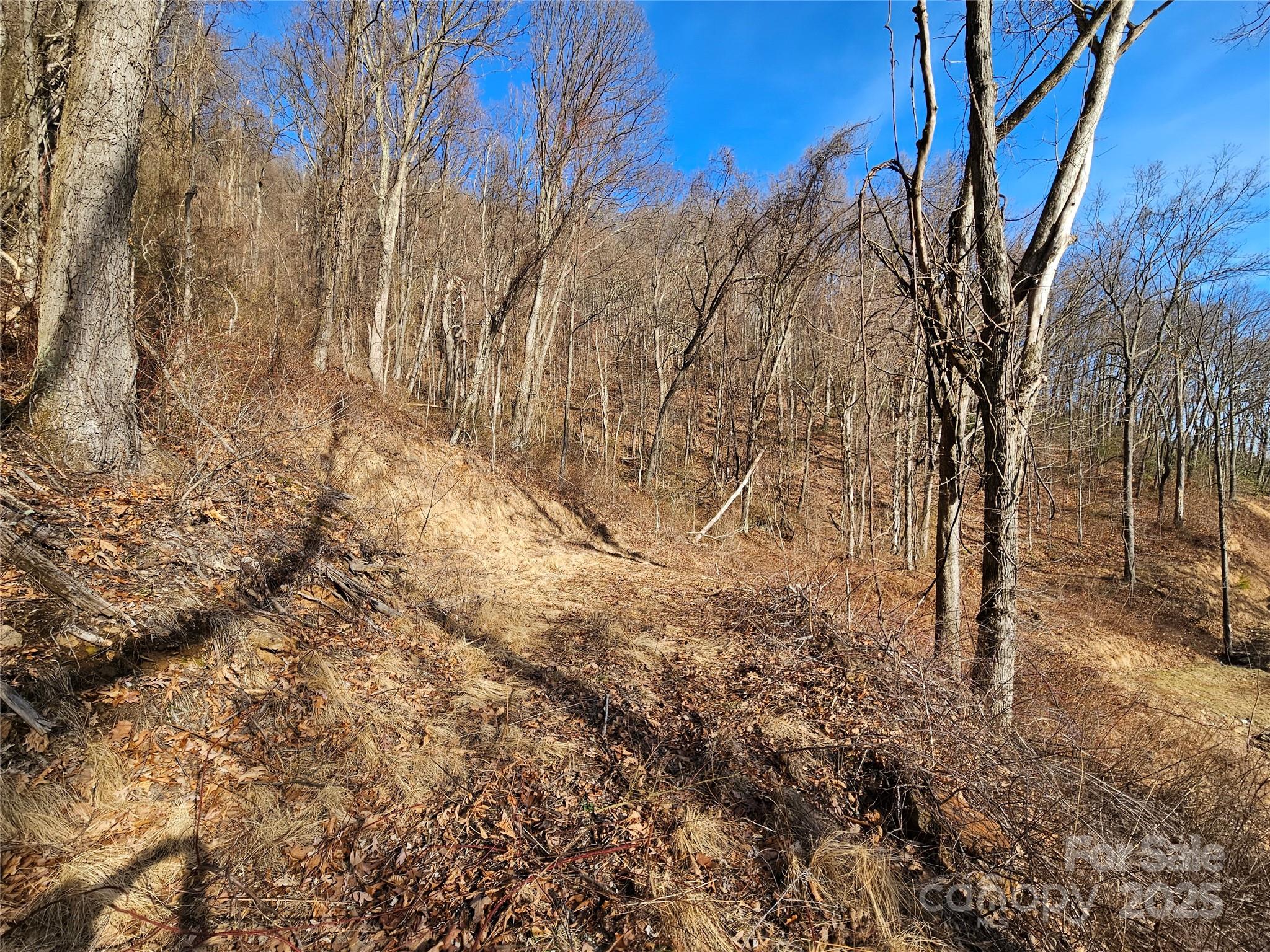 The Summit of Asheville - Land