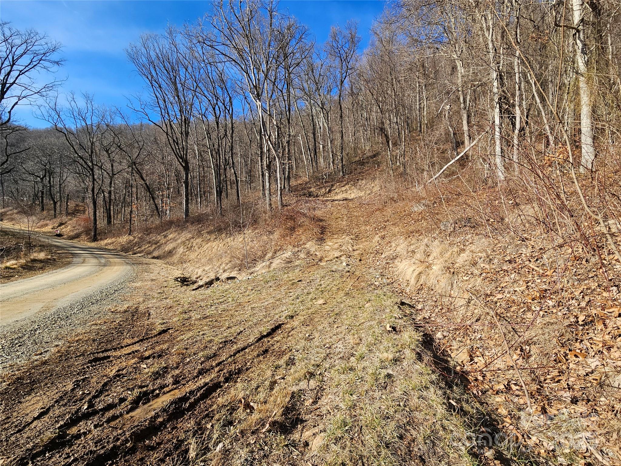 The Summit of Asheville - Land