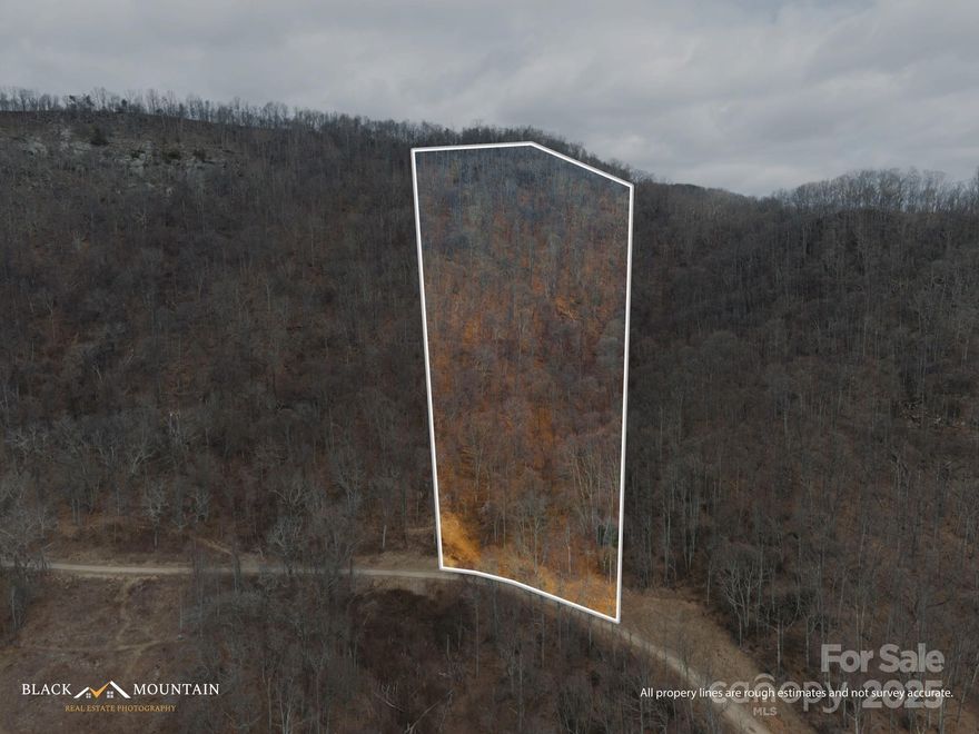 Spectacular year round long range mountain views from this 10.10 acre parcel in the highly desirable gated community of The Summit of Asheville. Underground power and fiber internet in place, coupled with the panoramic southerly views this lot would make an incredible site for a seasonal or year round residence. Situated 20 minutes from downtown Asheville and 25 minutes from Waynesville, you'll feel secluded from the hustle and bustle but everything you need at your fingertips with I-40 minutes away. Grow your green thumb at the community garden, or just take in the magnificent scenery within the community abound with wildlife. Driveway with culvert and landing already in place, this lot just needs the finishing touches to create a truly special mountain homestead. Call today for your private showing!