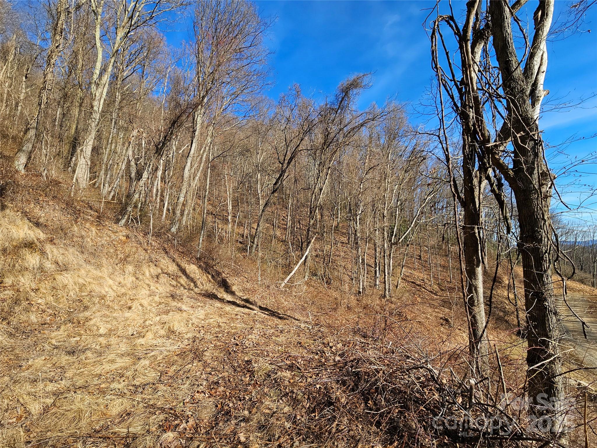 The Summit of Asheville - Land