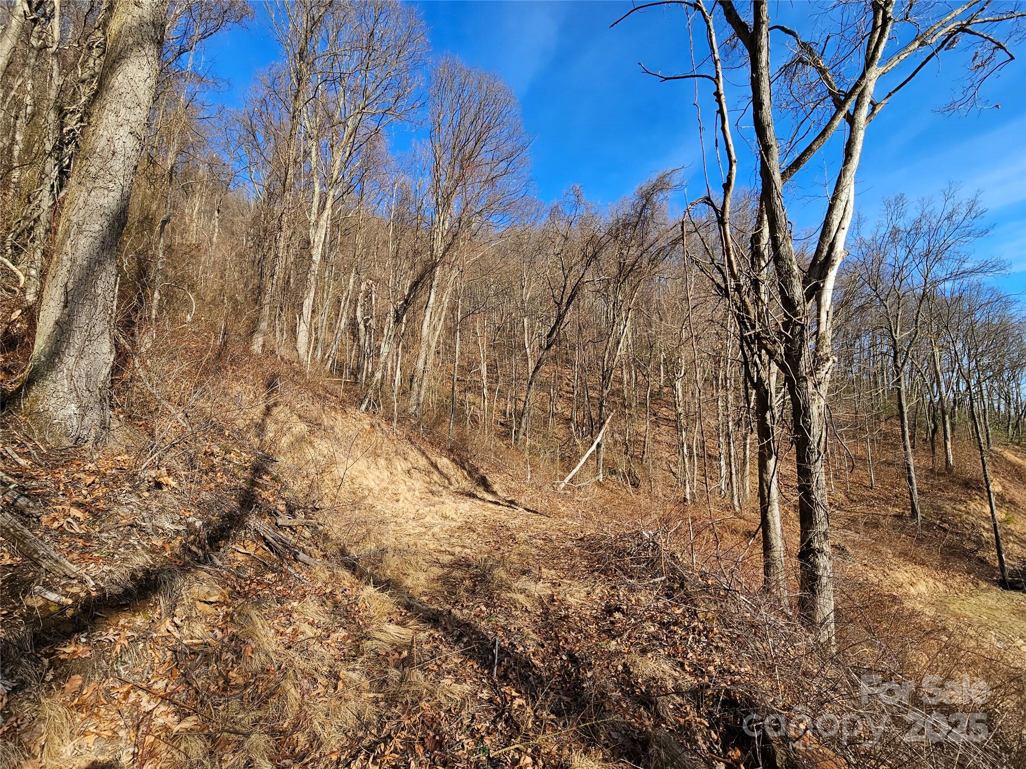 The Summit of Asheville - Land