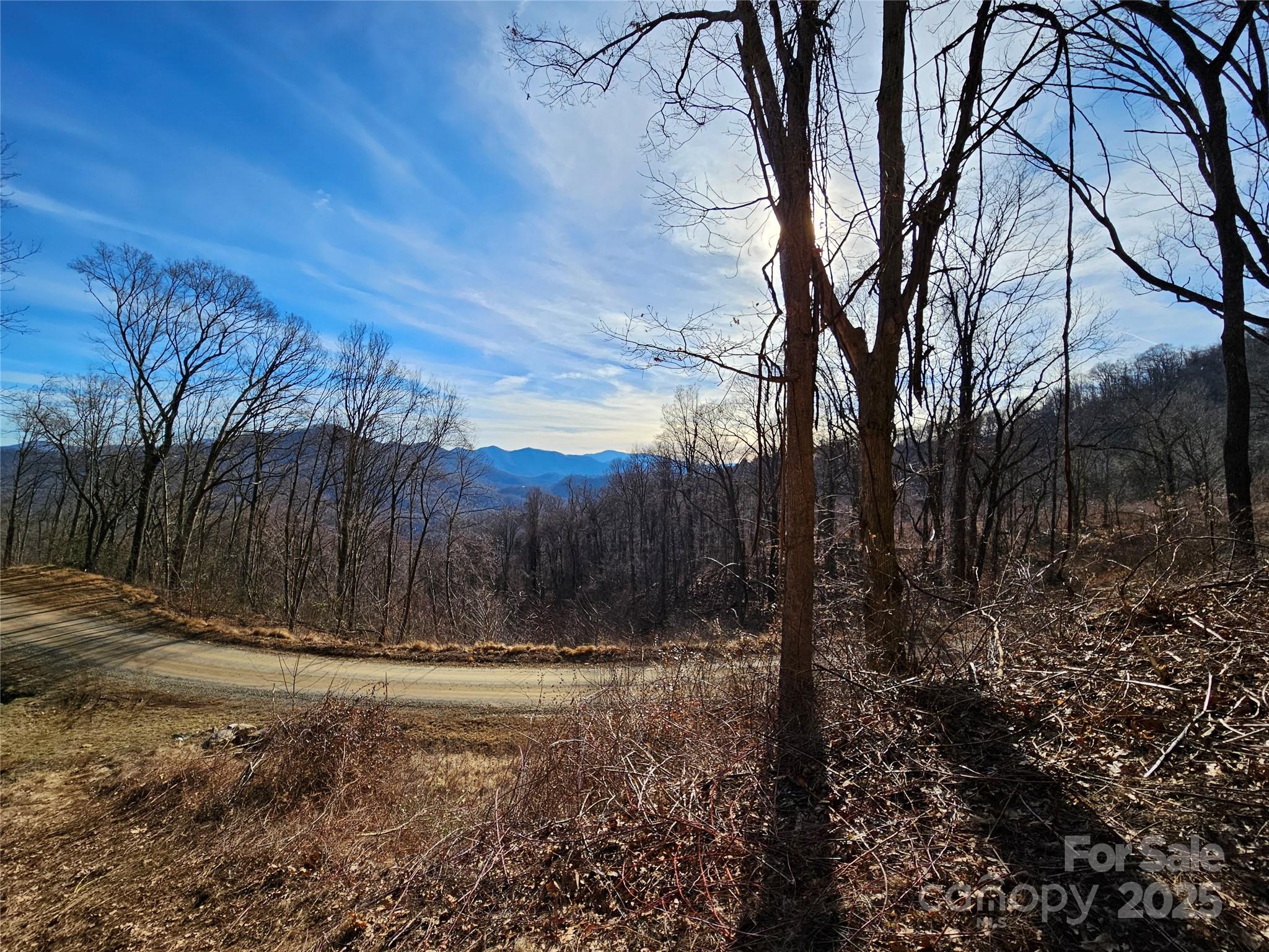 The Summit of Asheville - Land