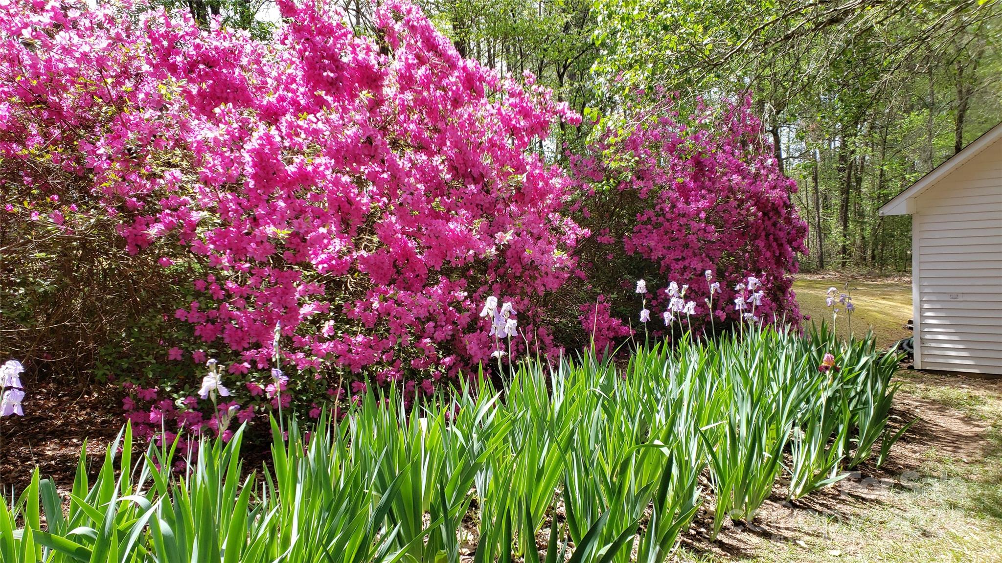 Victorian Hills - Residential
