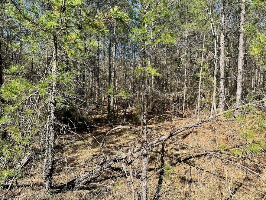 Developers dream!! 6 acres in the highly sought after Buford Community located on Shiloh Unity Road. Come build your dream home on this private parcel. Can be subdivided. Parcel has 281 feet of road frontage on Shiloh Unity Road.