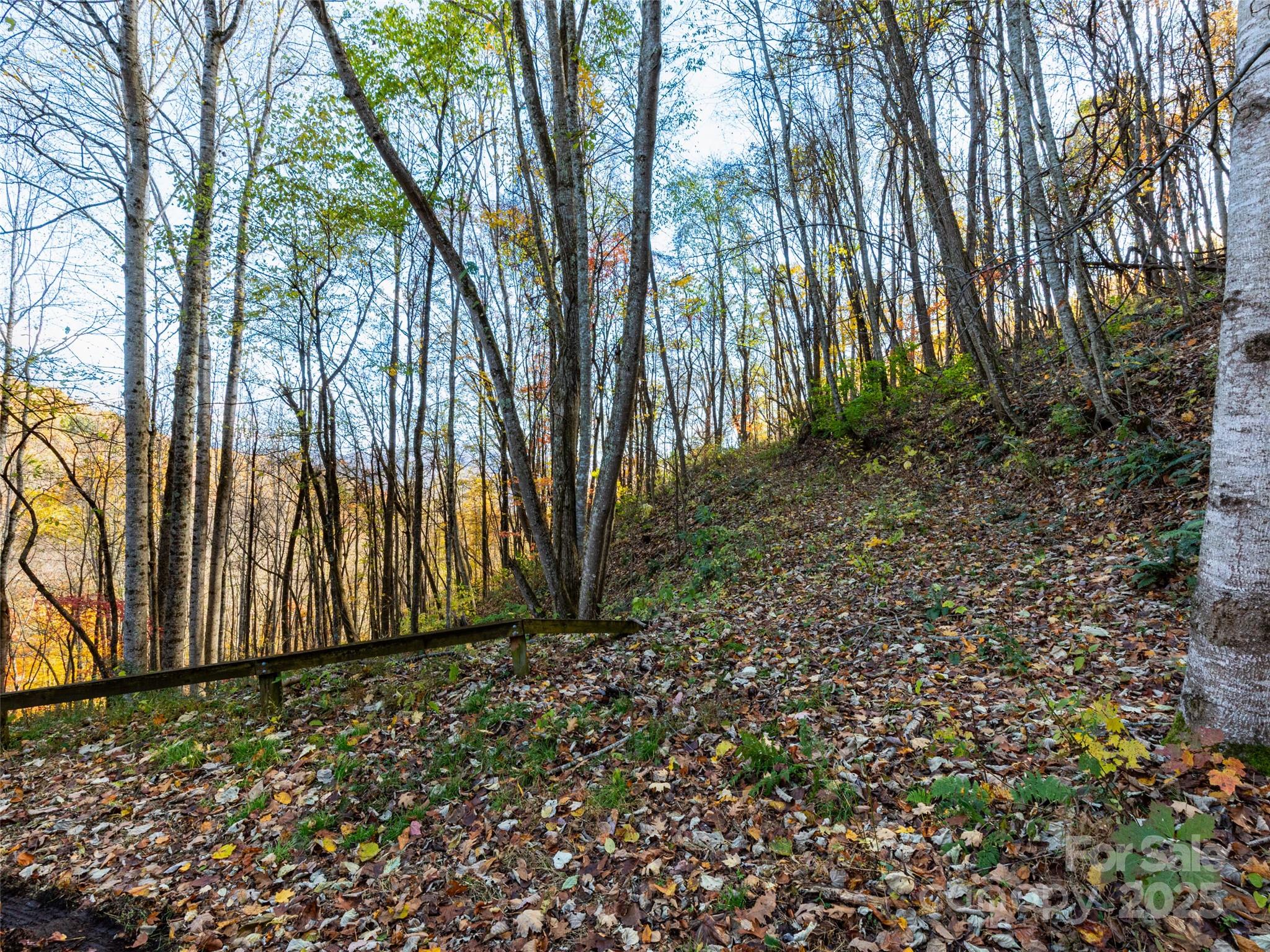 Villages Of Plott Creek - Land