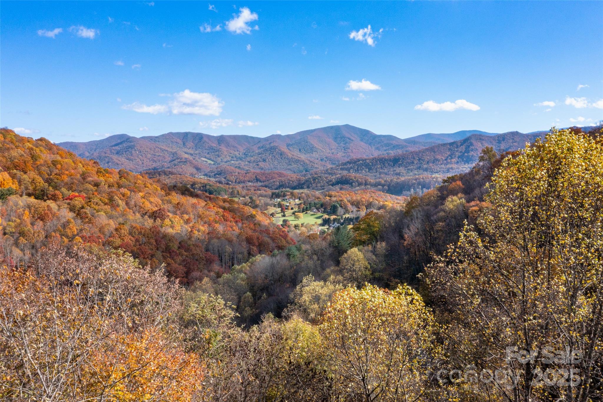 Villages Of Plott Creek - Land