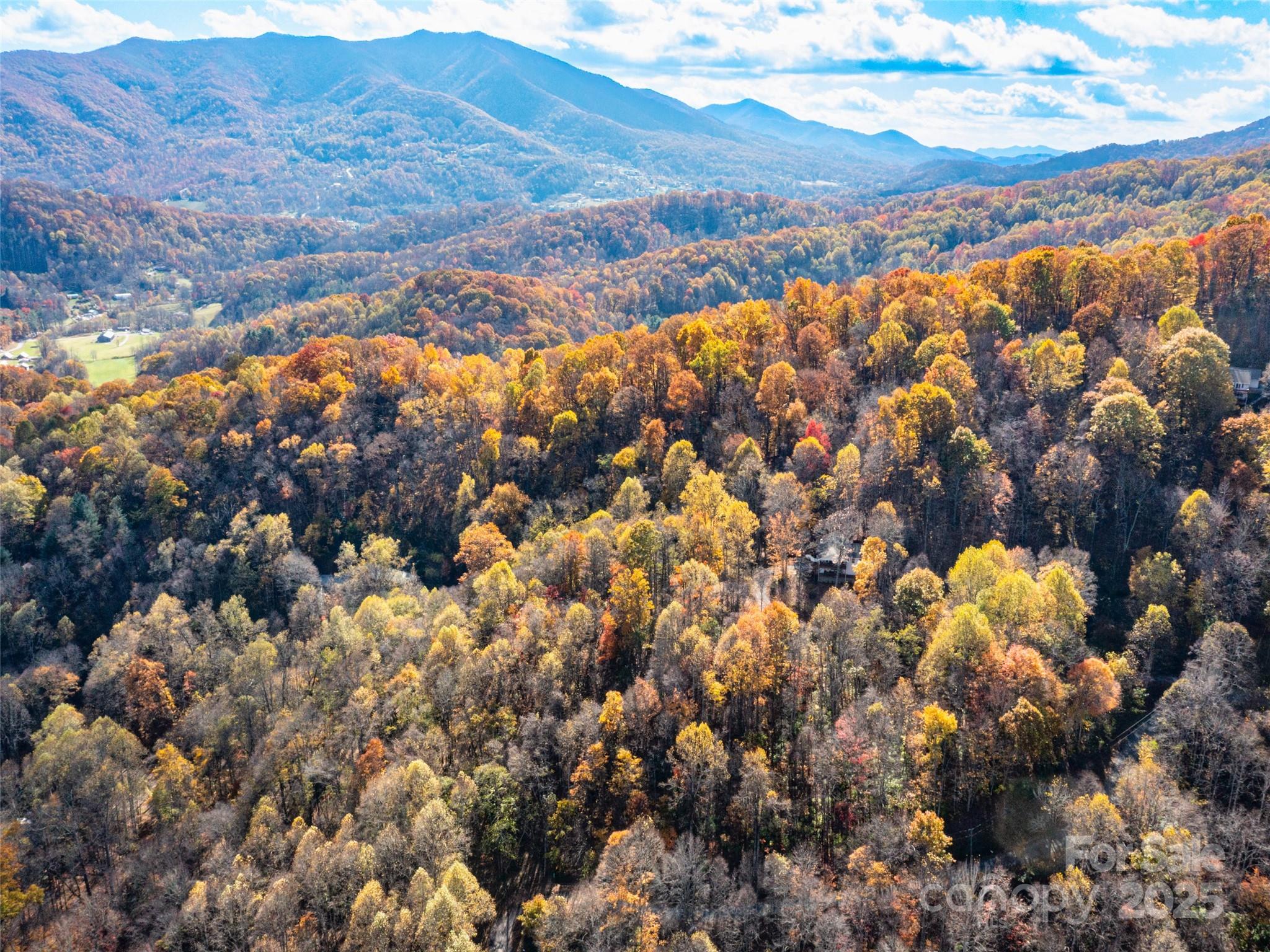 Villages Of Plott Creek - Land