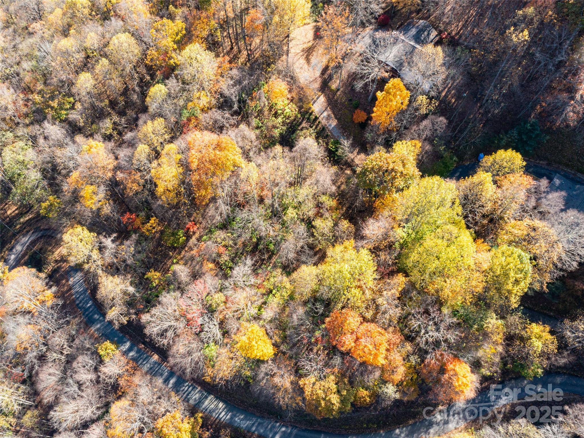 Villages Of Plott Creek - Land