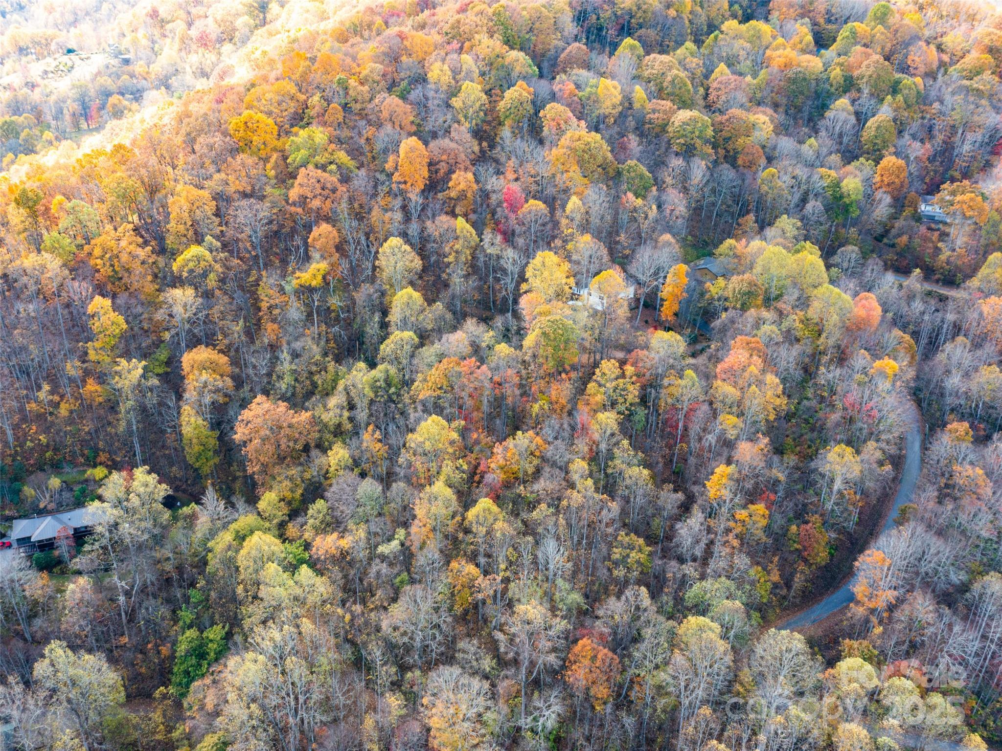 Villages Of Plott Creek - Land