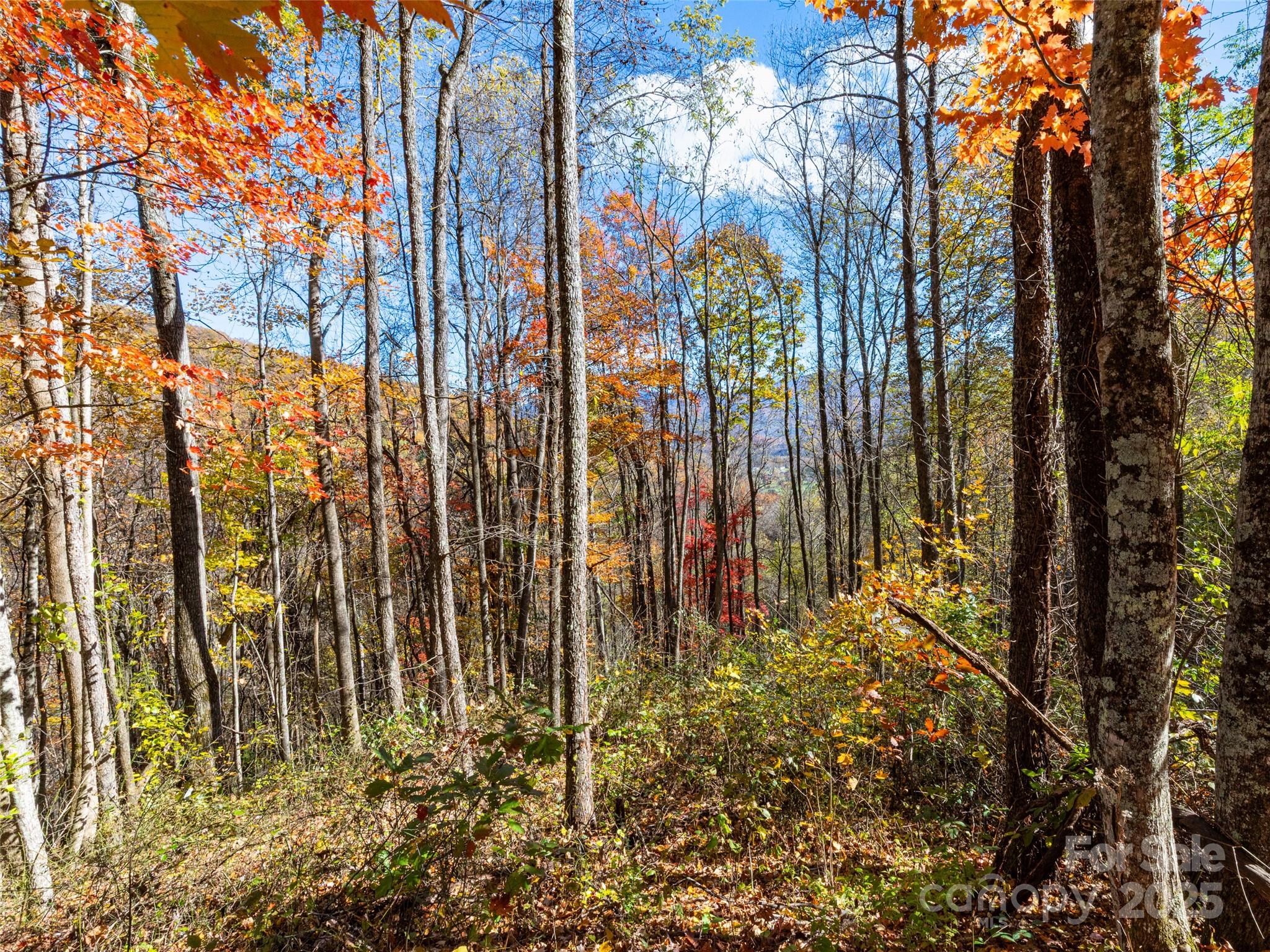 Villages Of Plott Creek - Land